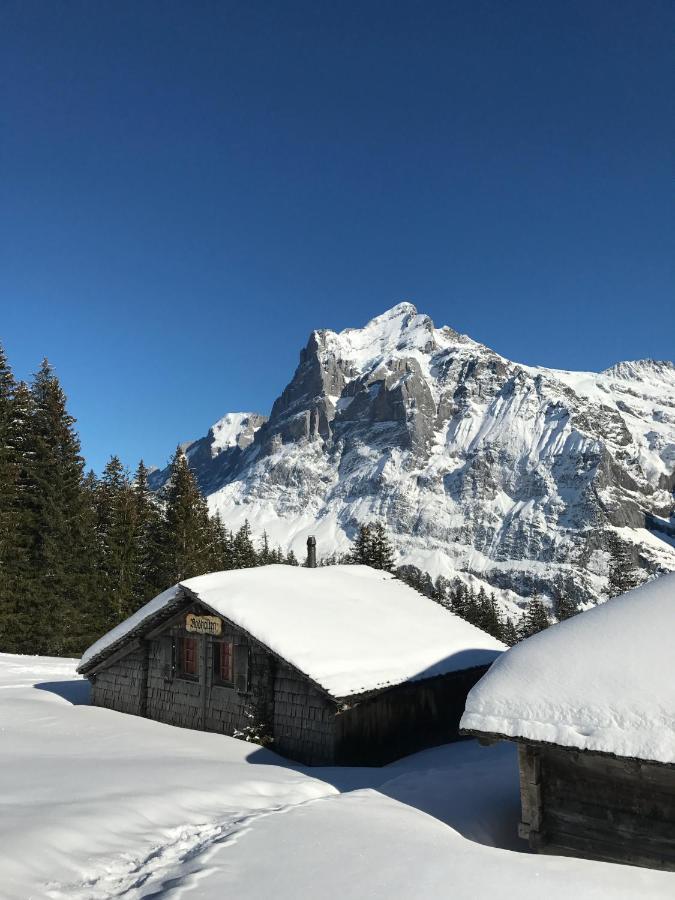 Sunneblick