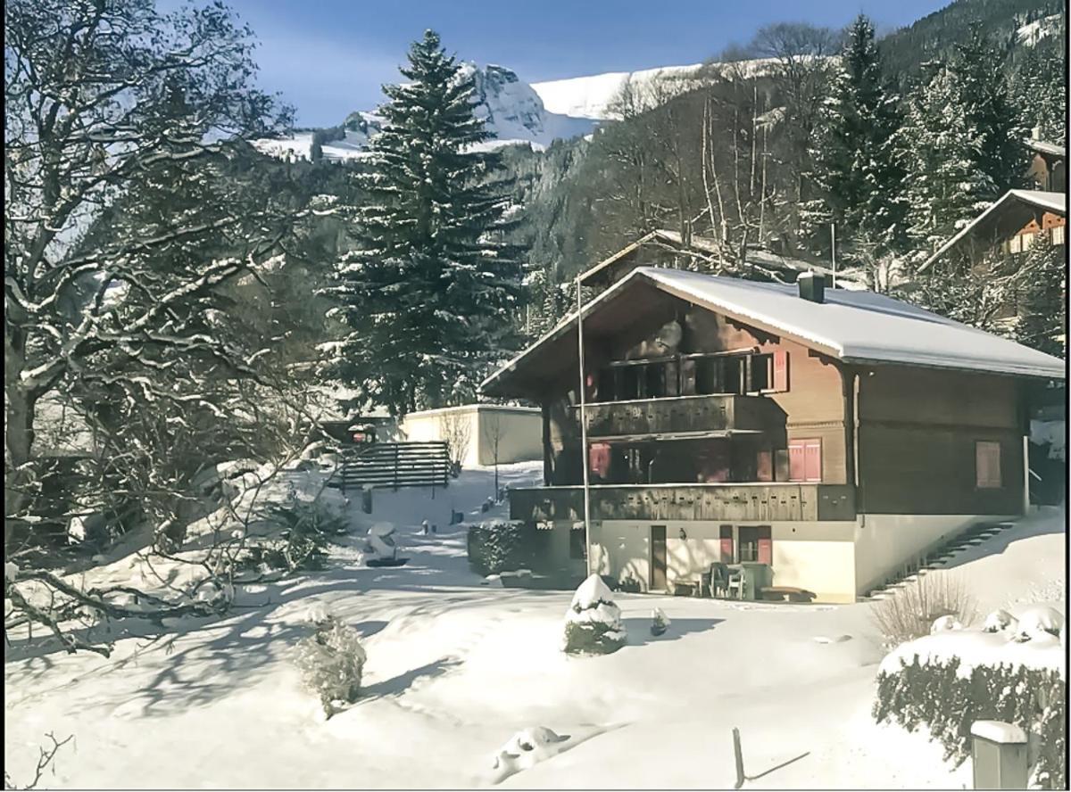 Apartment Bussalp - Aare Jungfrau Ag Grindelwald