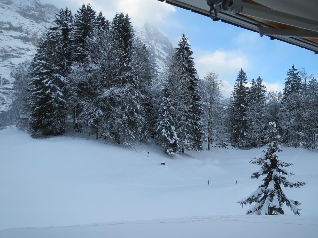Alpine Boutique Apartments, Gletscher Apartment