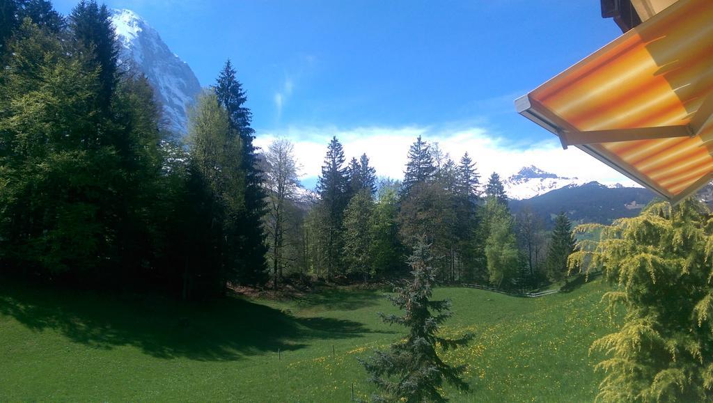 Alpine Boutique Apartments, Gletscher Grindelwald