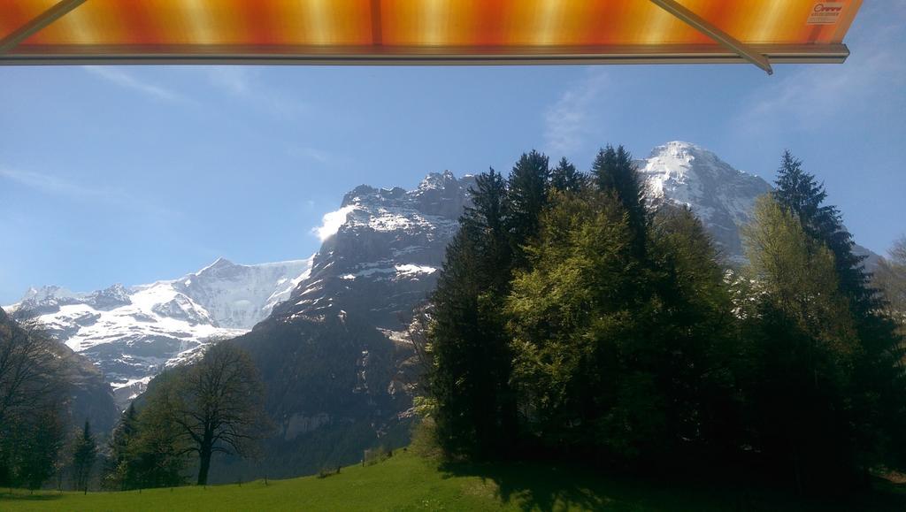 Apartment Alpine Boutique Apartments, Gletscher *