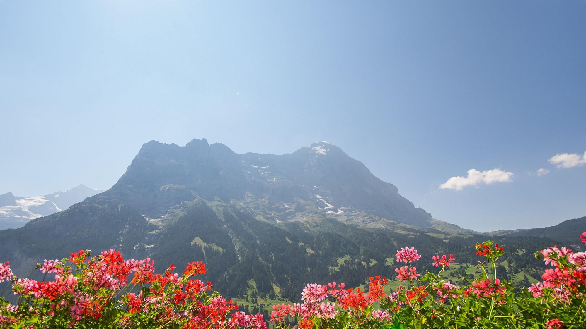 Romantik Schweizerhof 5*