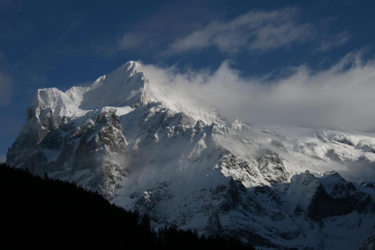 Eagle's Nest * Grindelwald