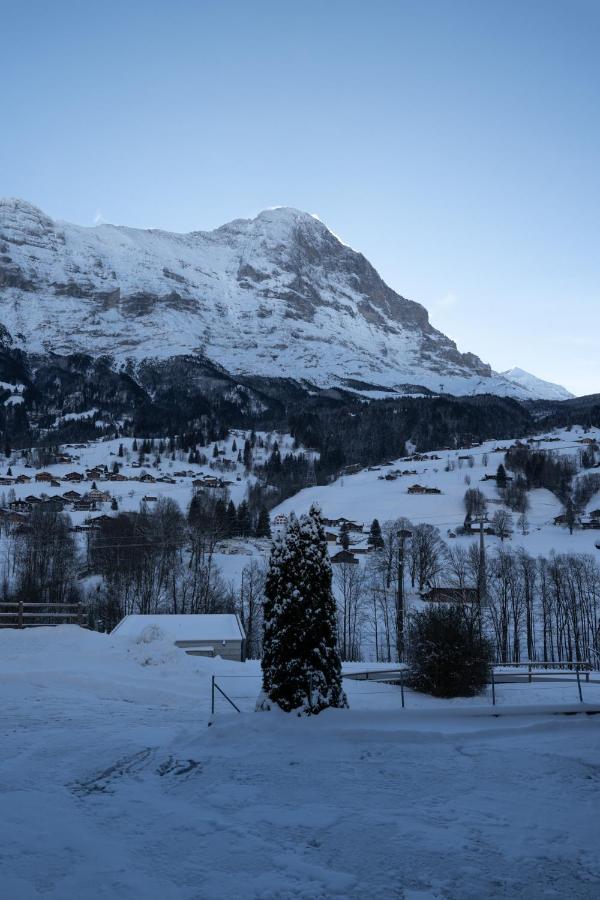 Apartment The Glacier Express - Grindelhomes Grindelwald