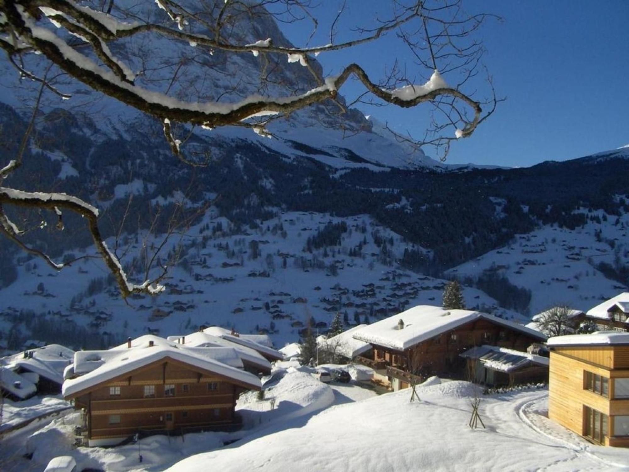 Chalet Stieregg, Studio West Apartment Grindelwald