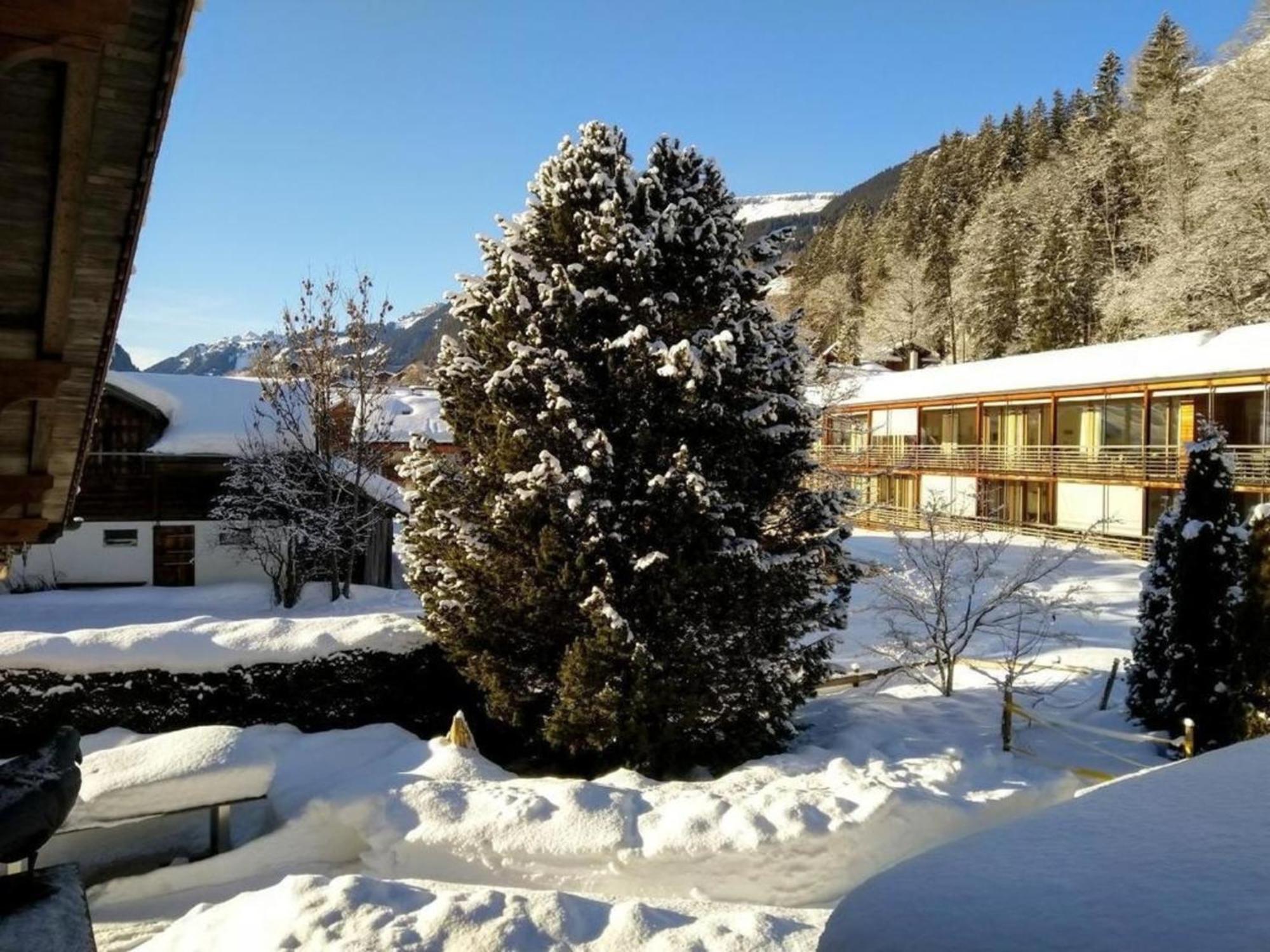 Chalet Stieregg, Studio West Apartment *