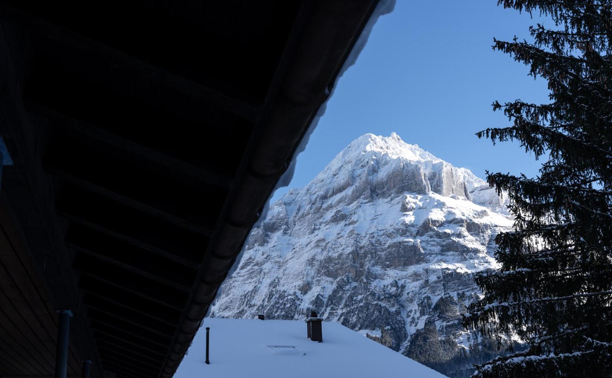 Apartment The Glacier Express - Grindelhomes *