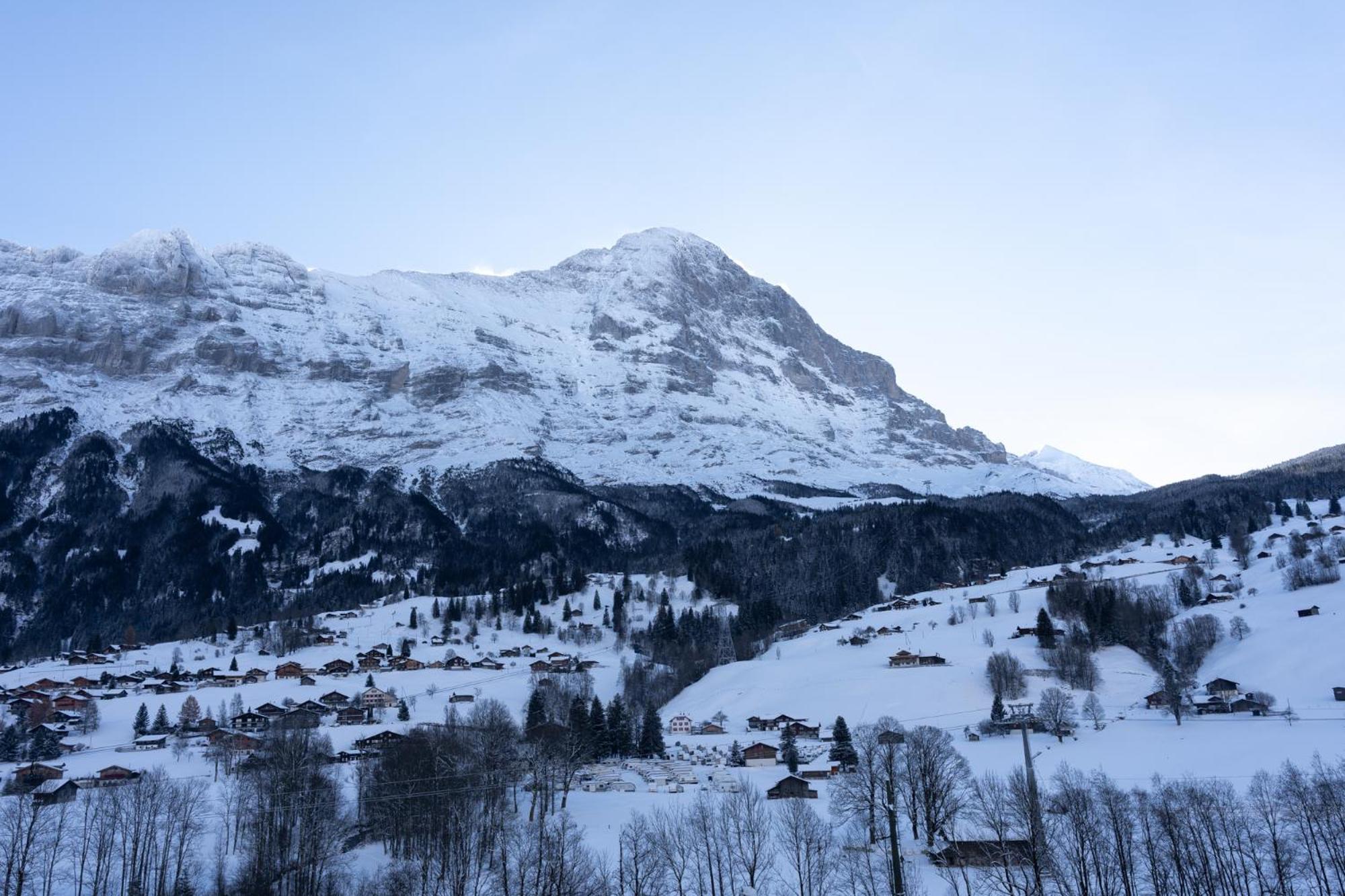 The Glacier Express - Grindelhomes