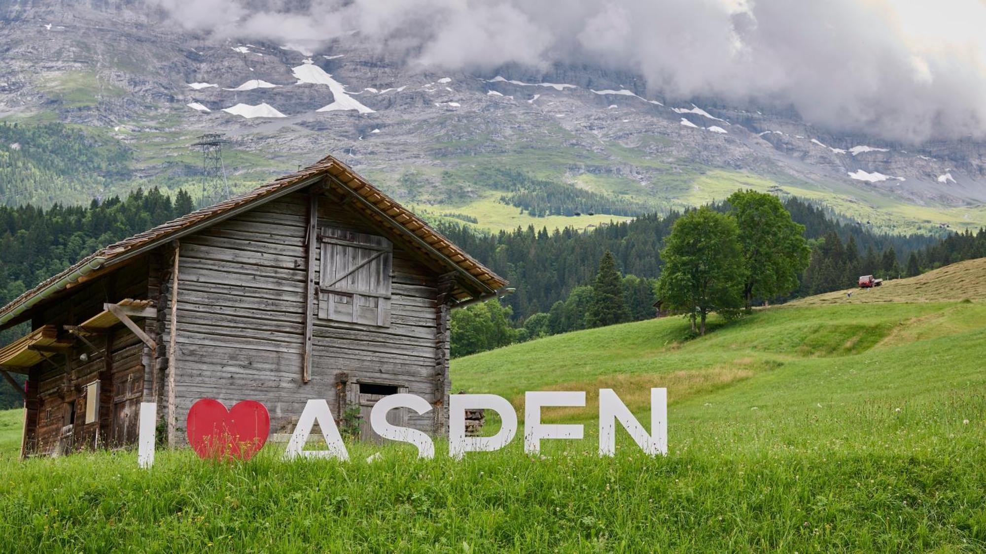 Hotel Aspen Alpine Lifestyle