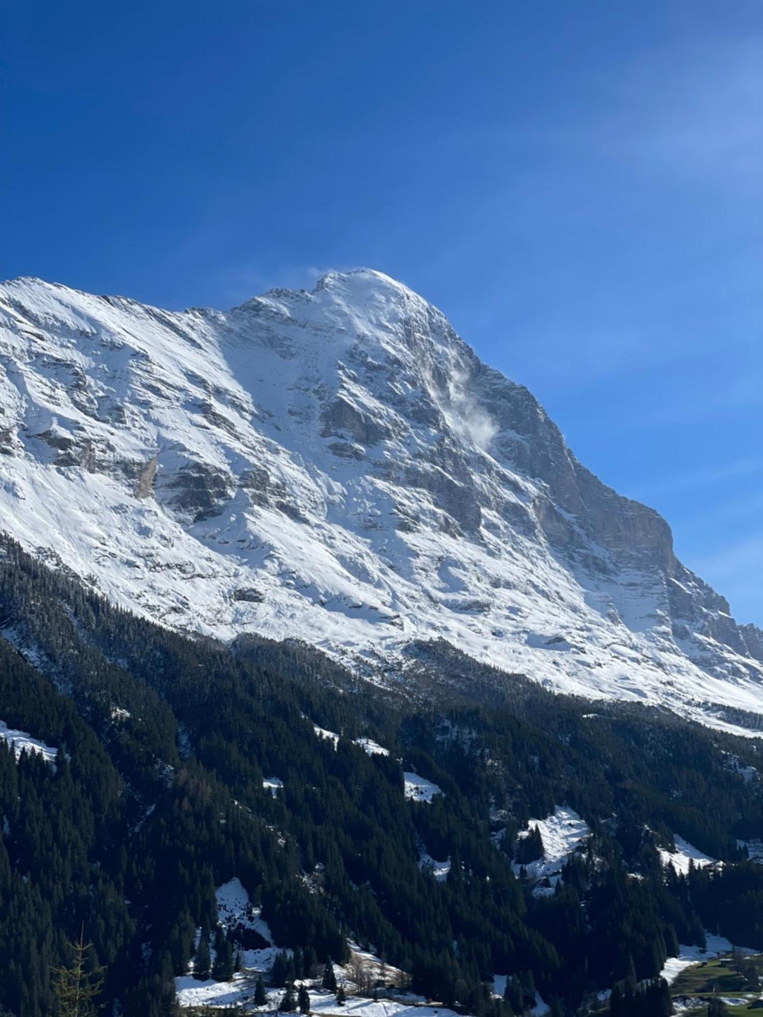 Hotel Jungfrau Lodge, Annex Crystal