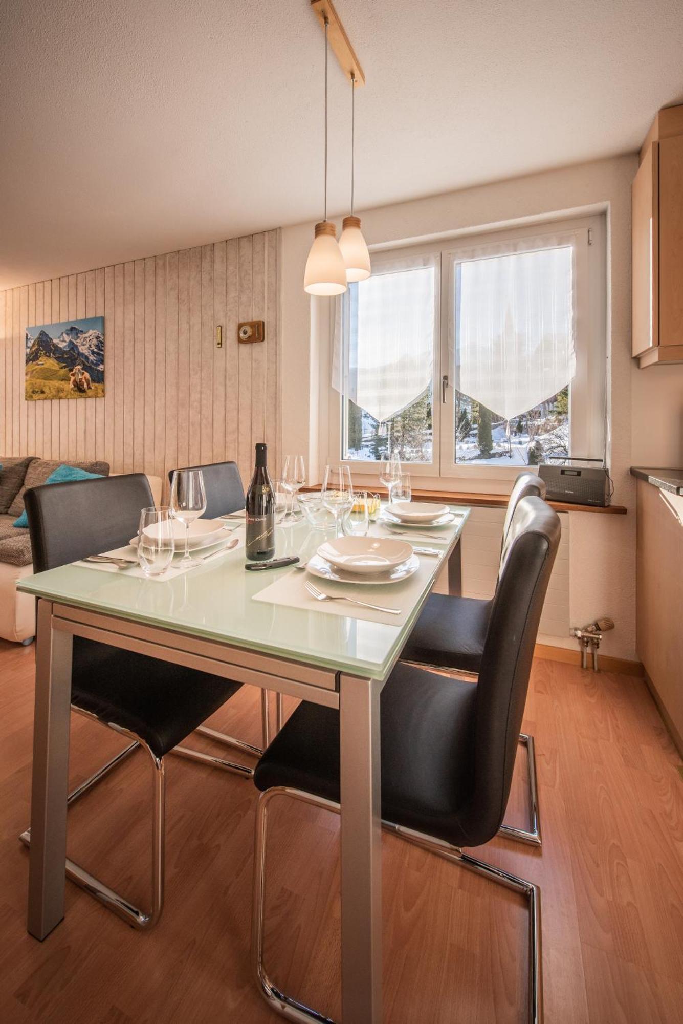 Apartment Cozy With Outstanding View Grindelwald