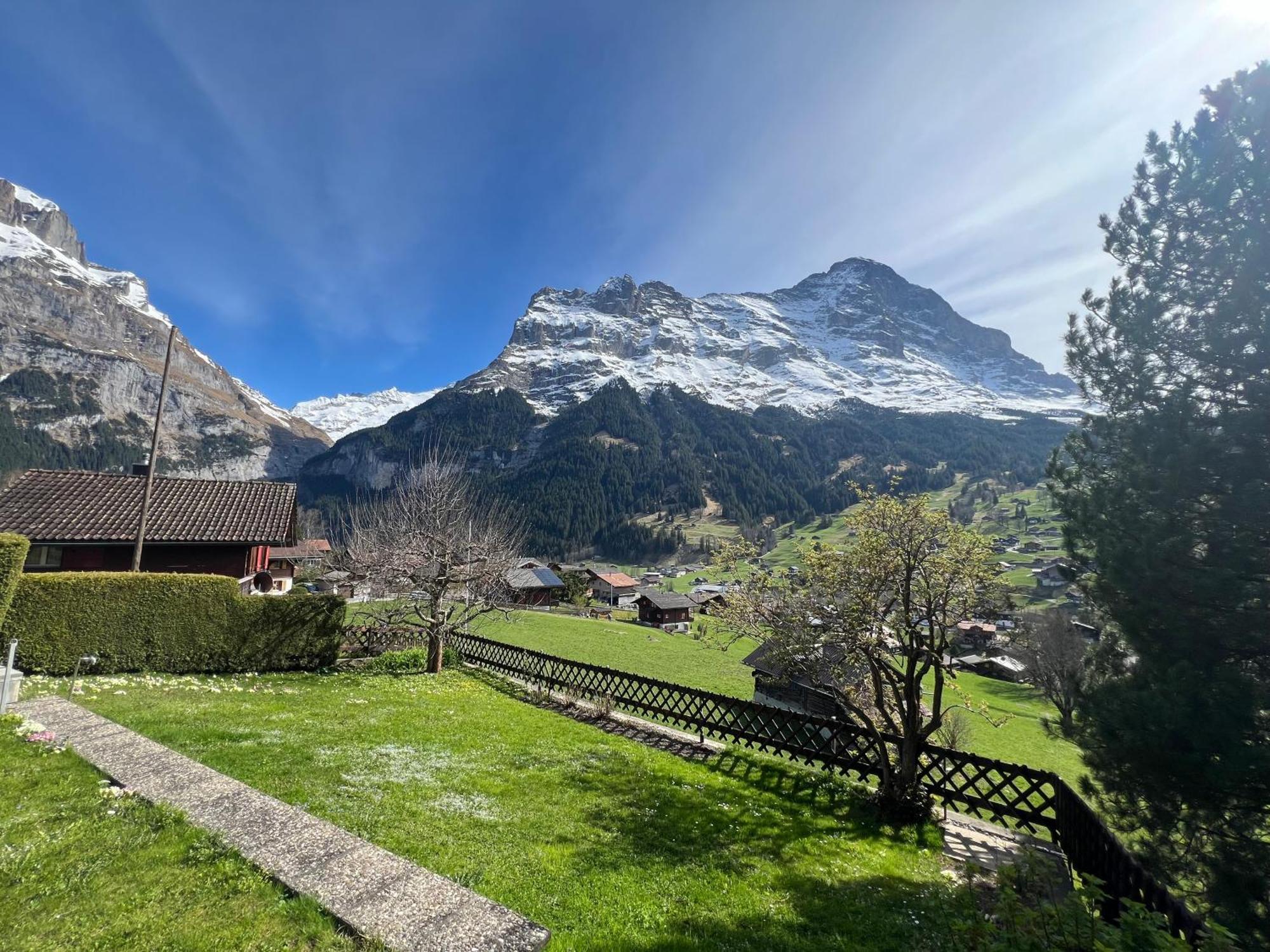 Deer * Grindelwald