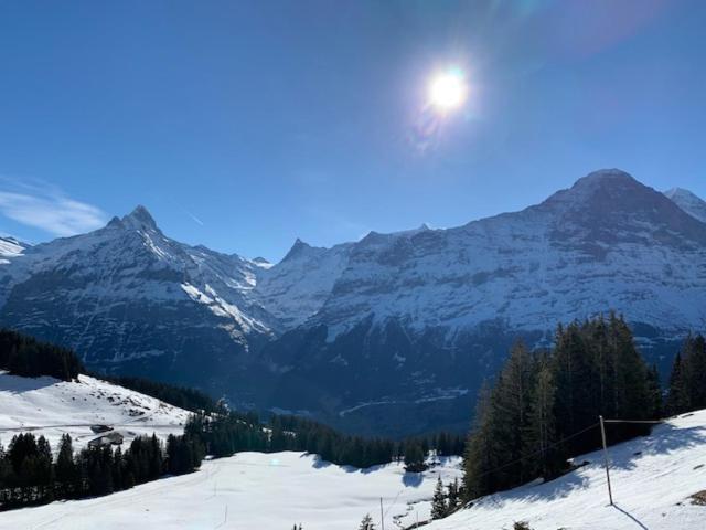 Apartment Grindelwald-sunneblick Grindelwald