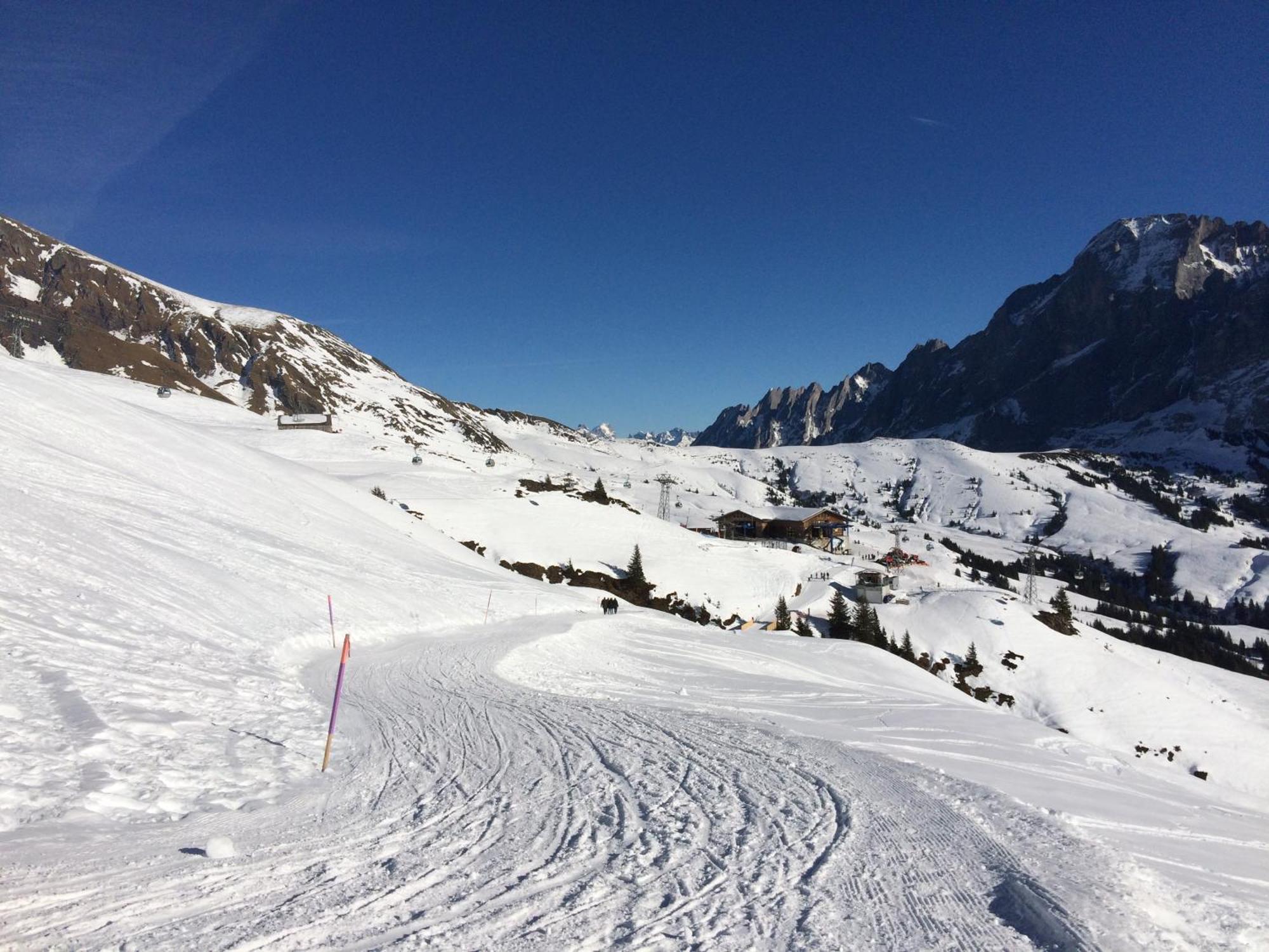 Apartment Grindelwald-sunneblick Grindelwald