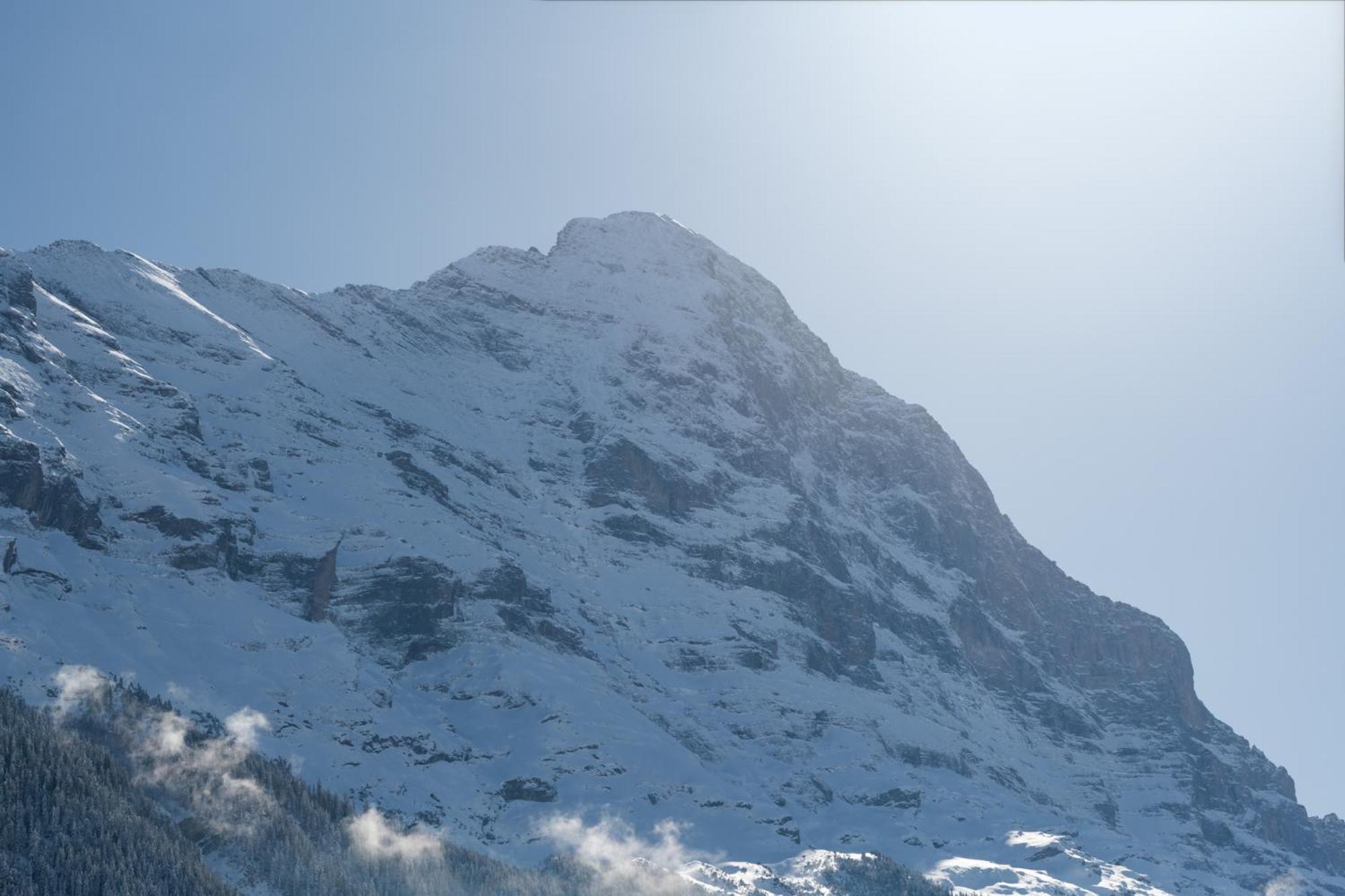 The Terrace - Grindelhomes * Grindelwald