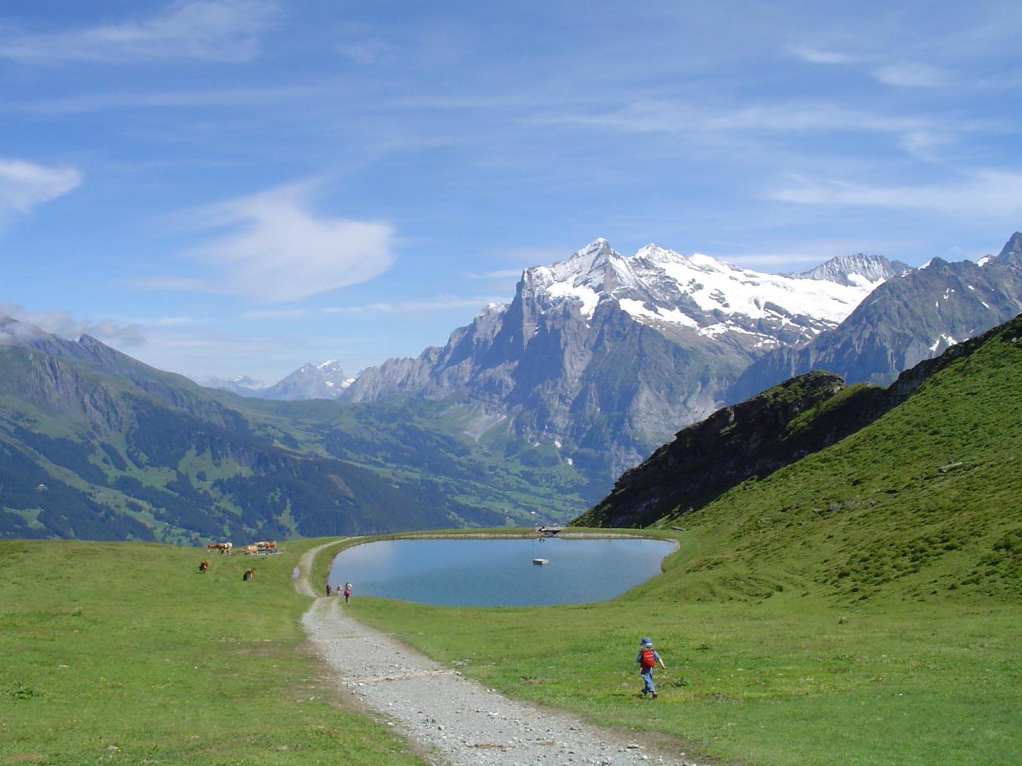 Tschuggen Grindelwald