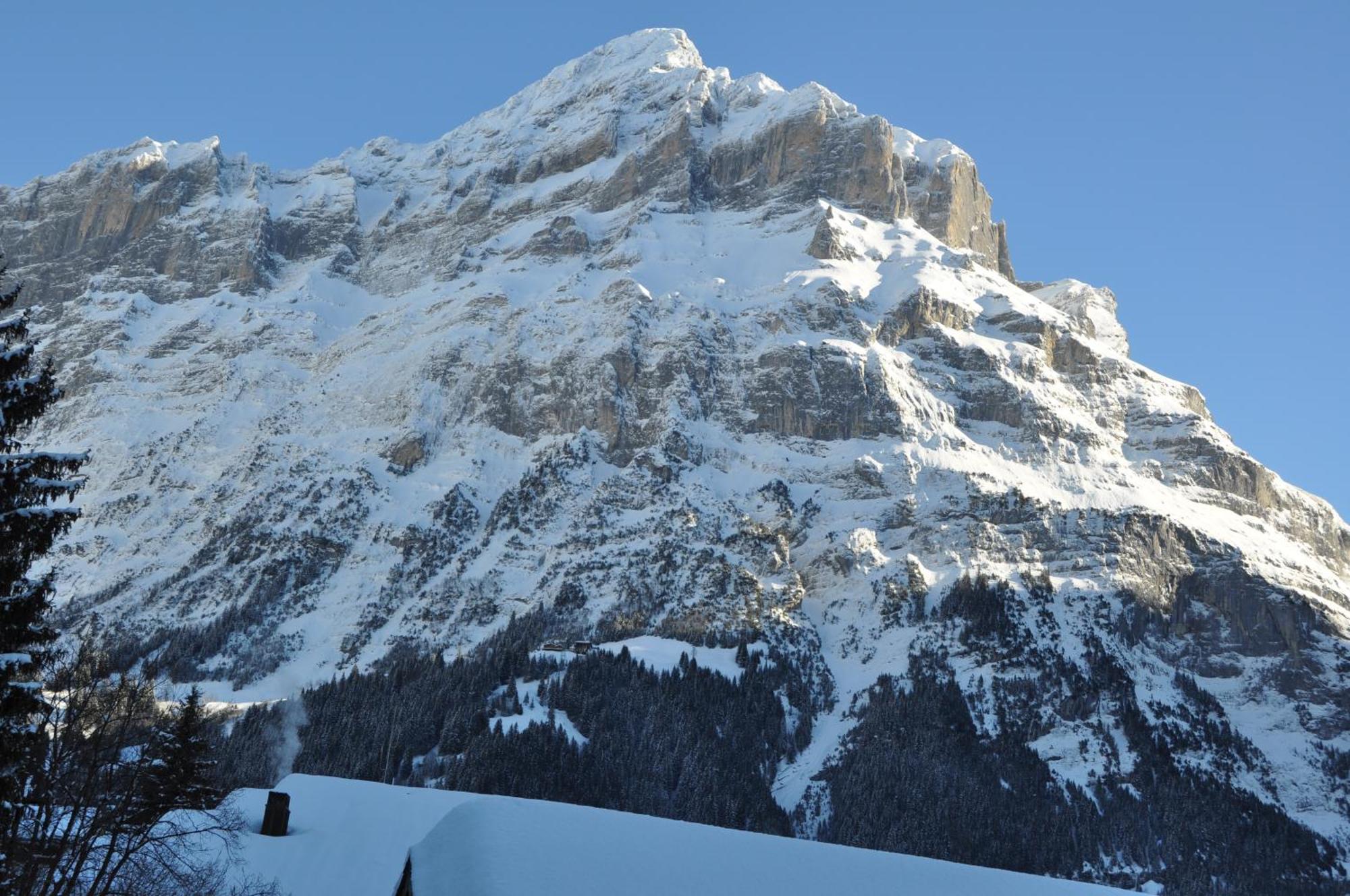 Wolter - Grindelwald
