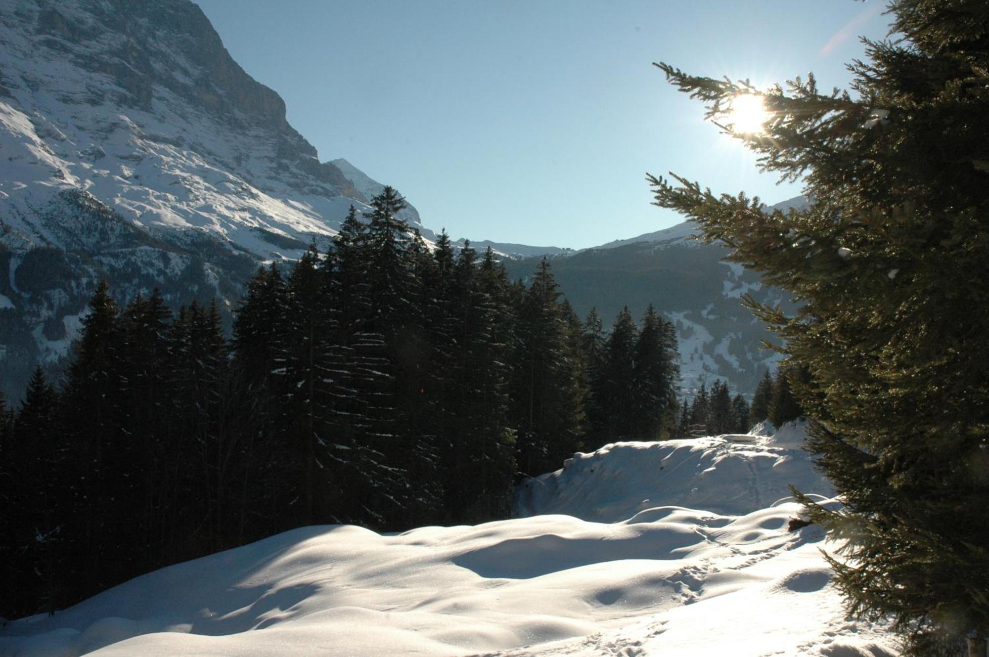 Hotel Alpenhof Grindelwald