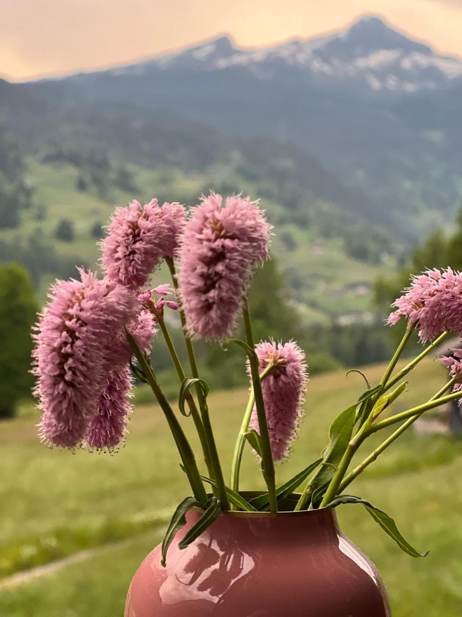 Apartment Velvet Eiger *