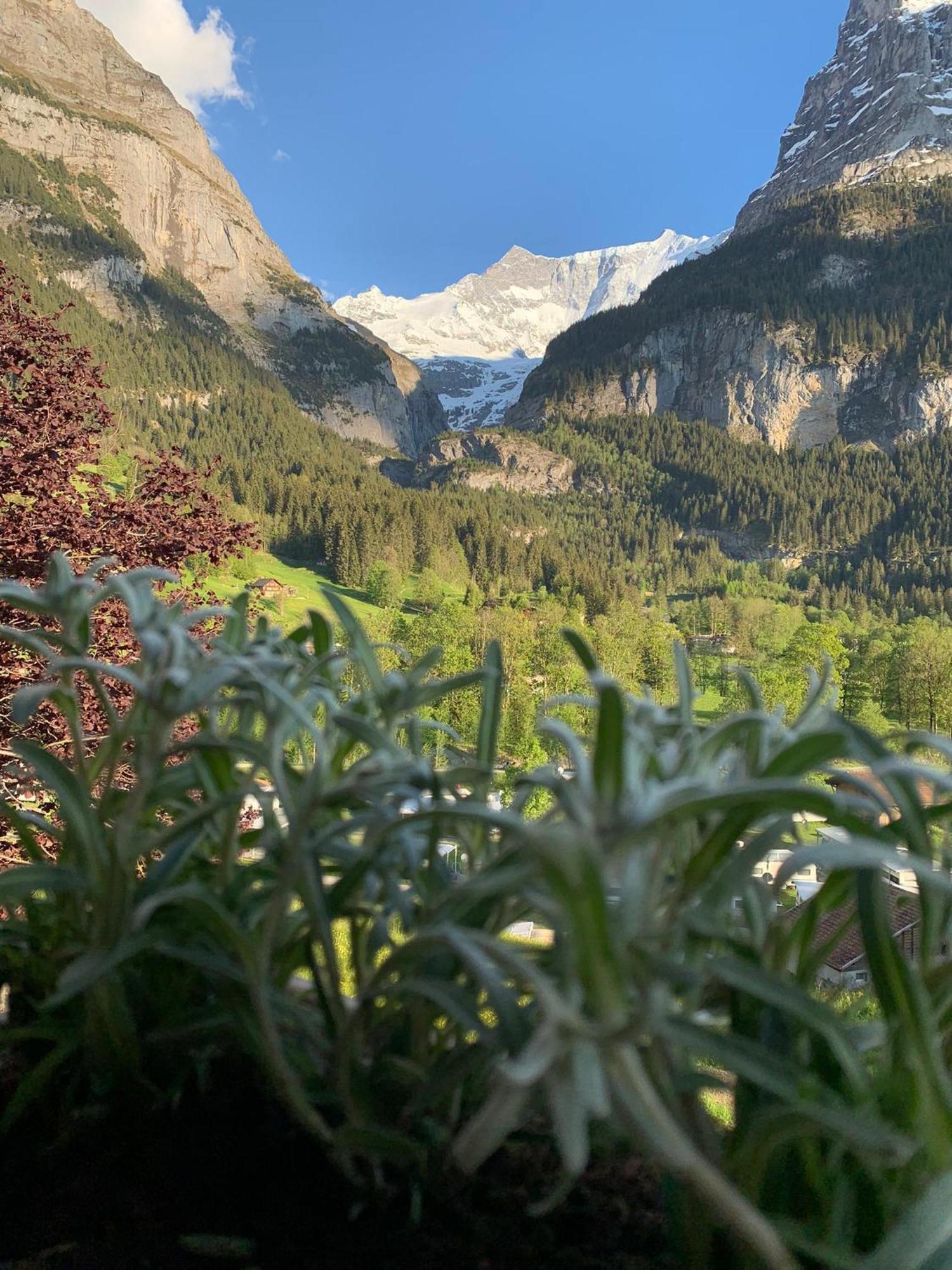 Velvet Eiger Apartment Grindelwald