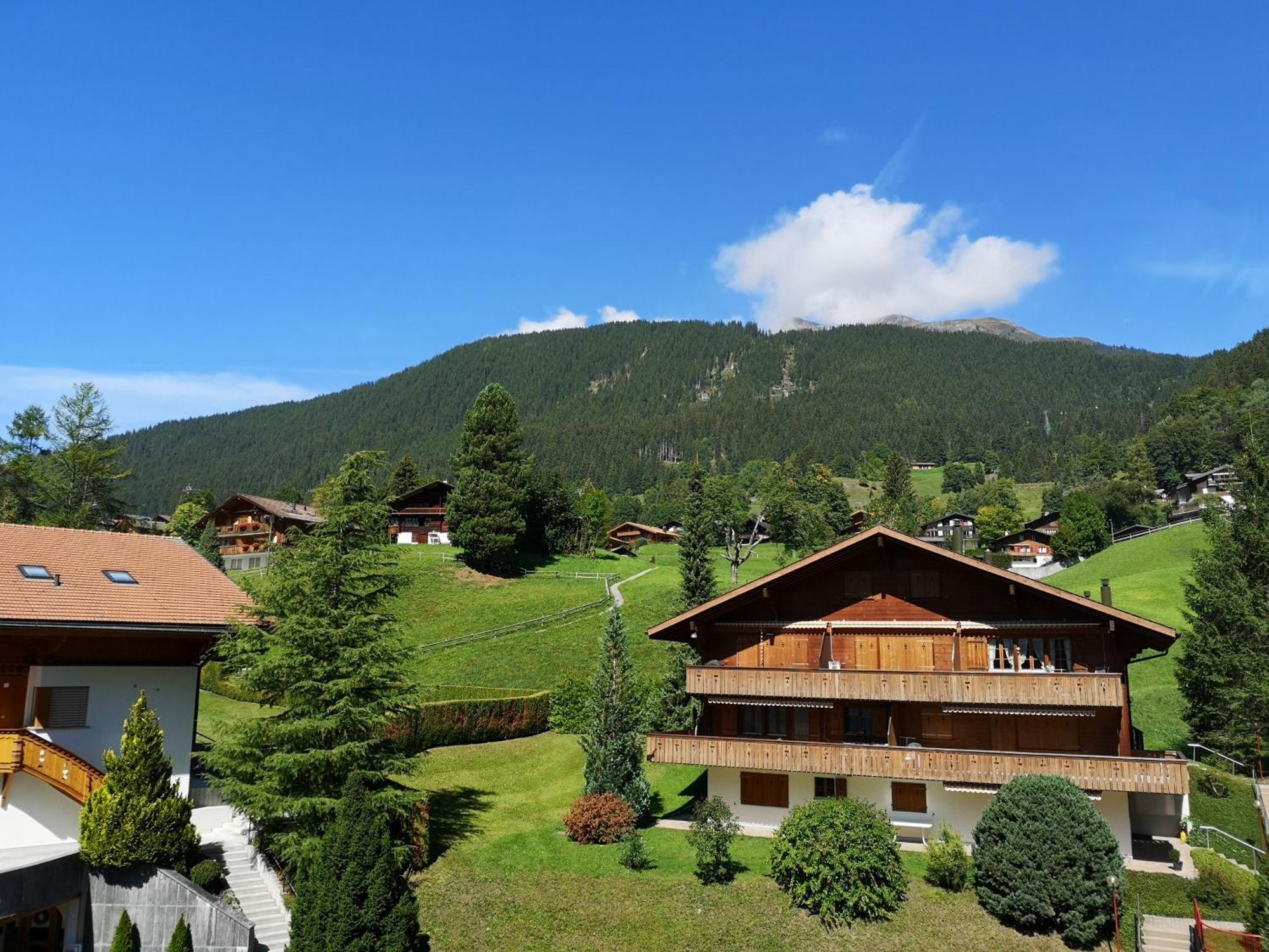 Gletscherblick Grindelwald