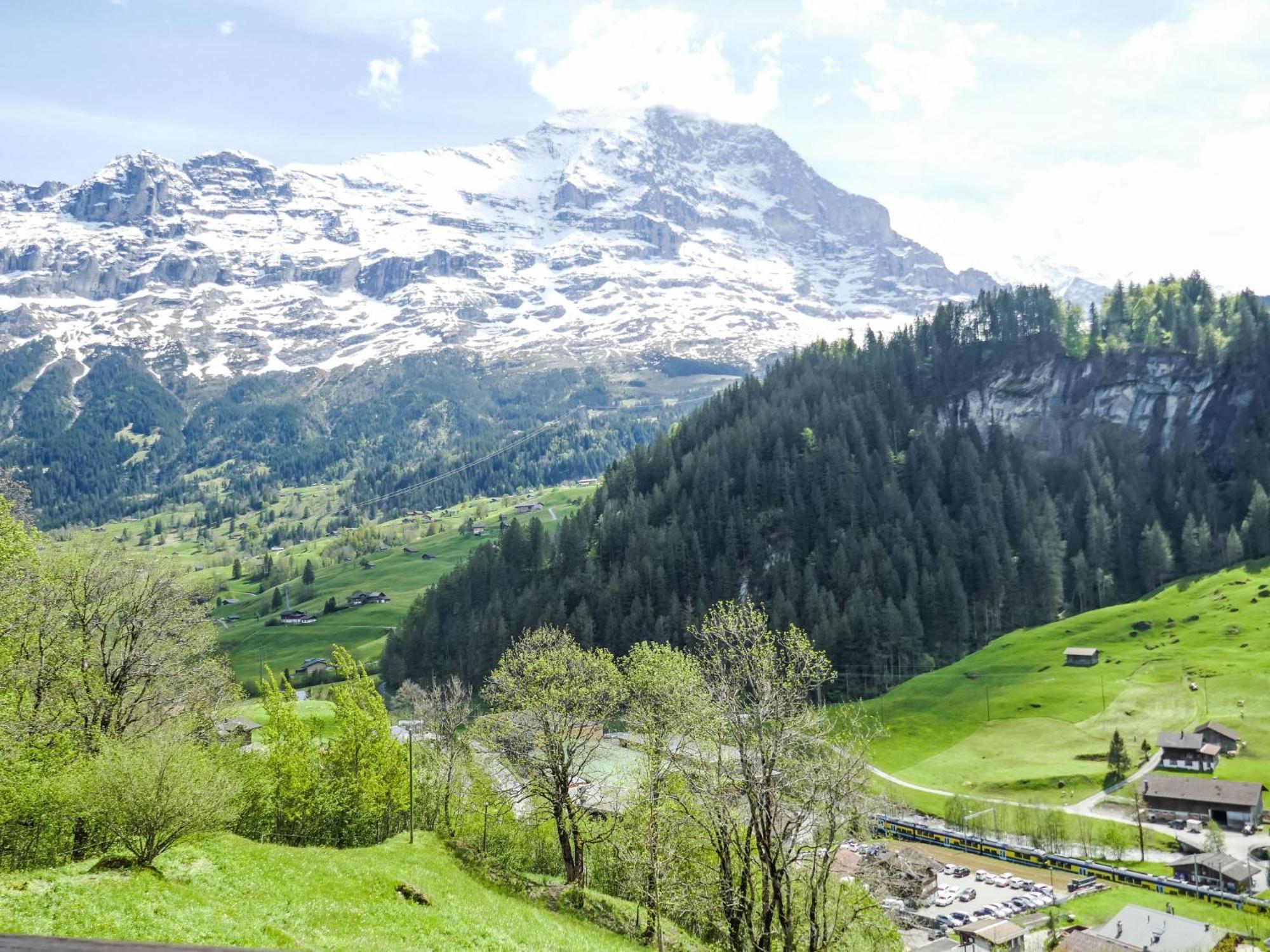 Auf Dem Vogelstein-1 By Interhome Apartment Grindelwald