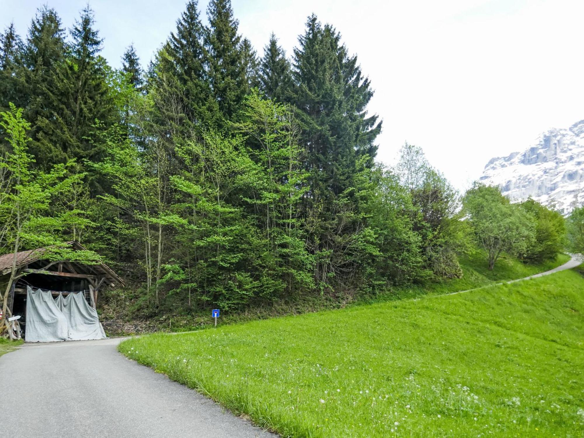 Auf Dem Vogelstein-1 By Interhome Grindelwald