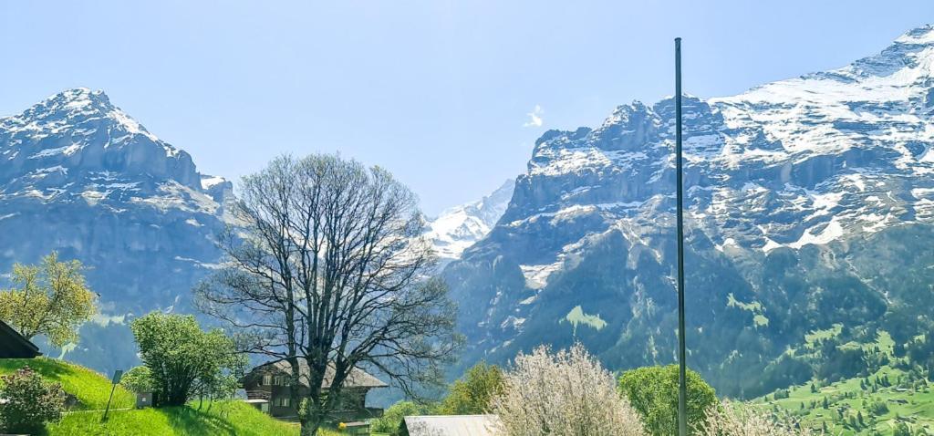 Bussalp - Aare Jungfrau Ag