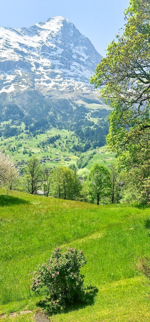 Apartment Bussalp - Aare Jungfrau Ag Grindelwald