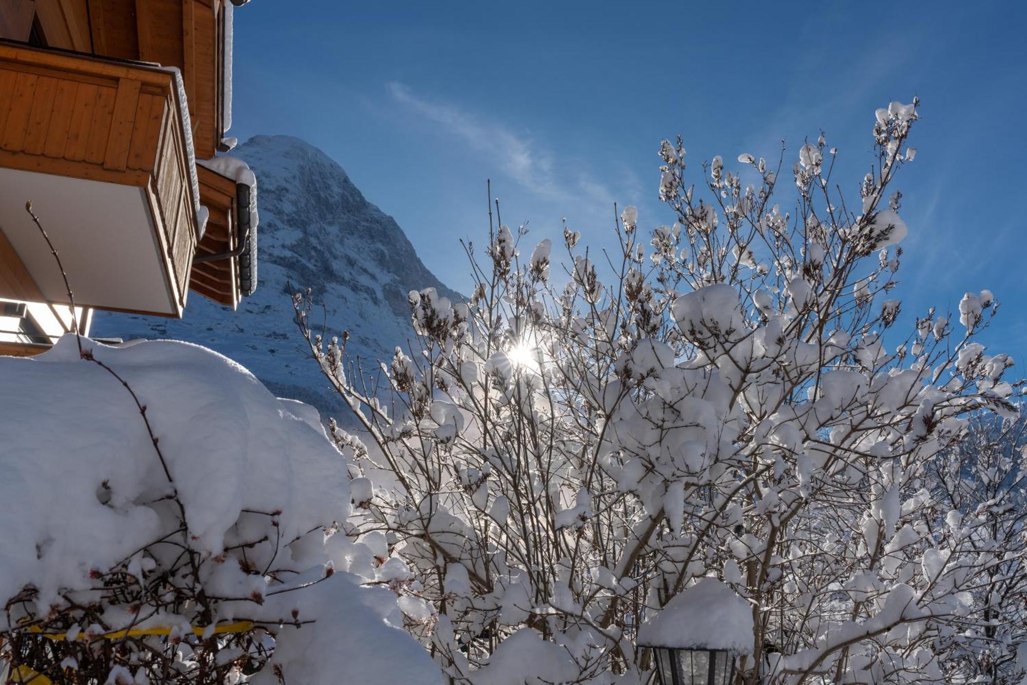 Chalé Chalet Alia And Apartments-grindelwald By Swiss *