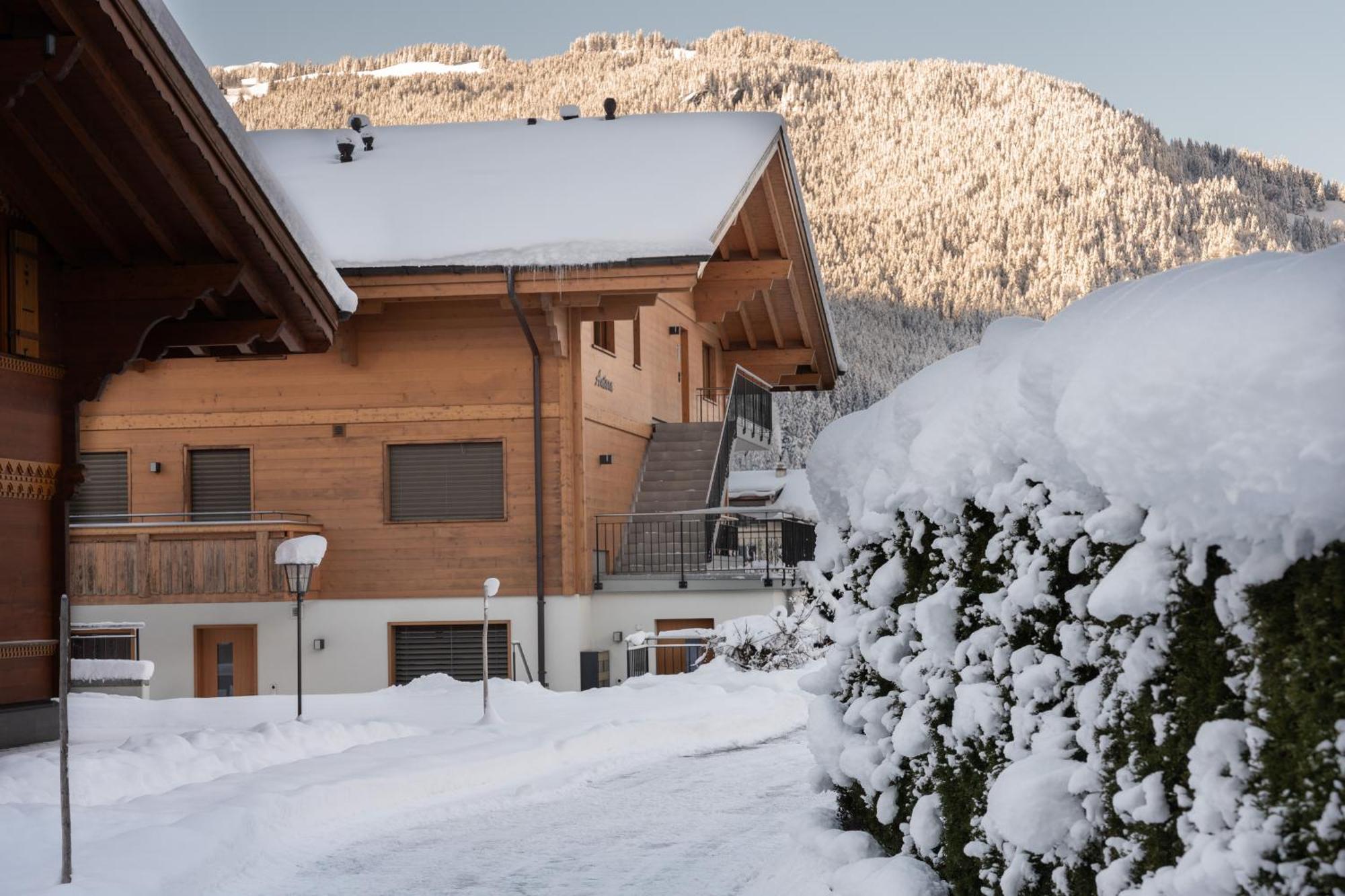 Chalé Chalet Alia And Apartments-grindelwald By Swiss