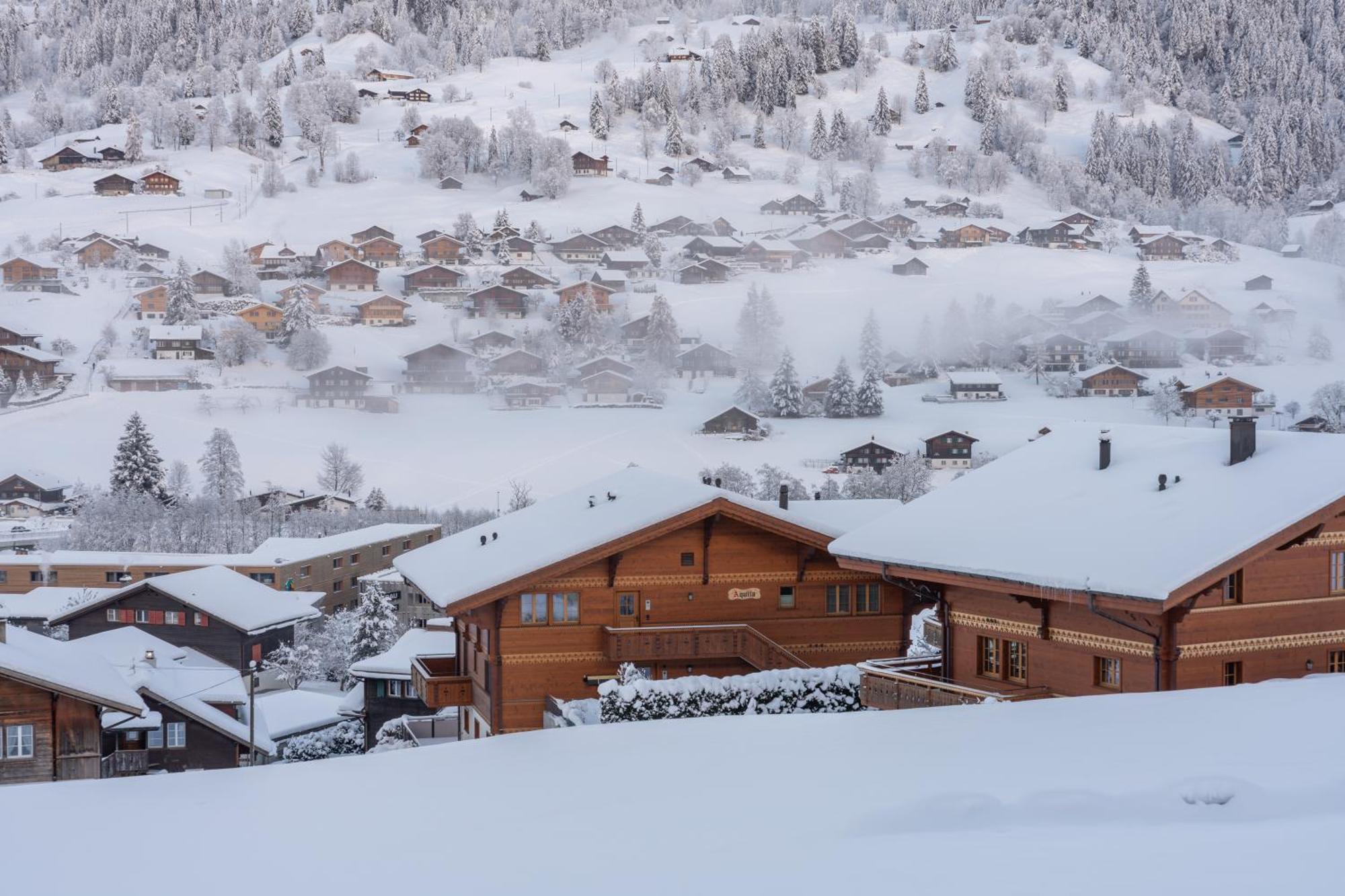 Chalet Alia And Apartments-grindelwald By Swiss * Grindelwald