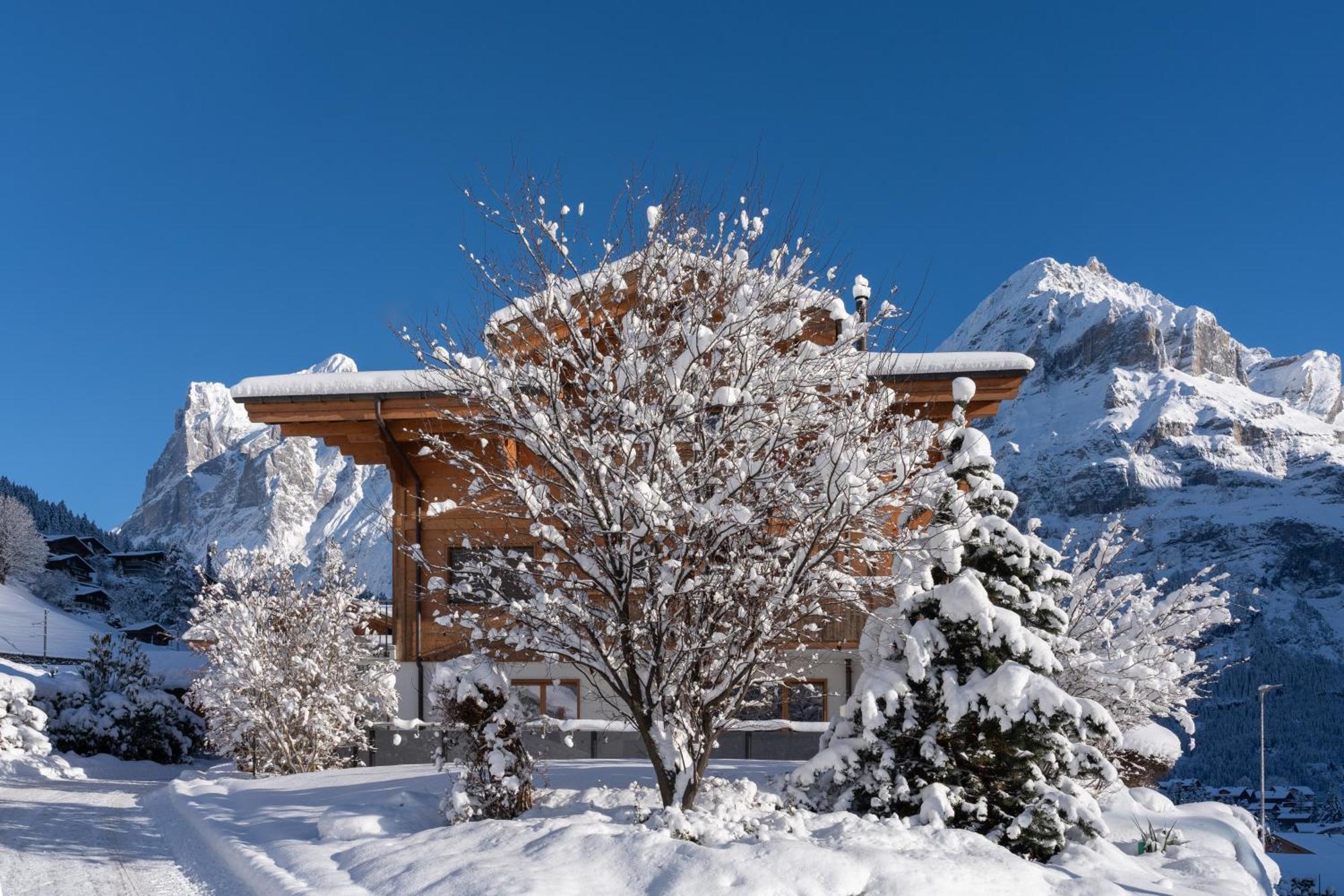 Chalet Alia And Apartments-grindelwald By Swiss Chalé *