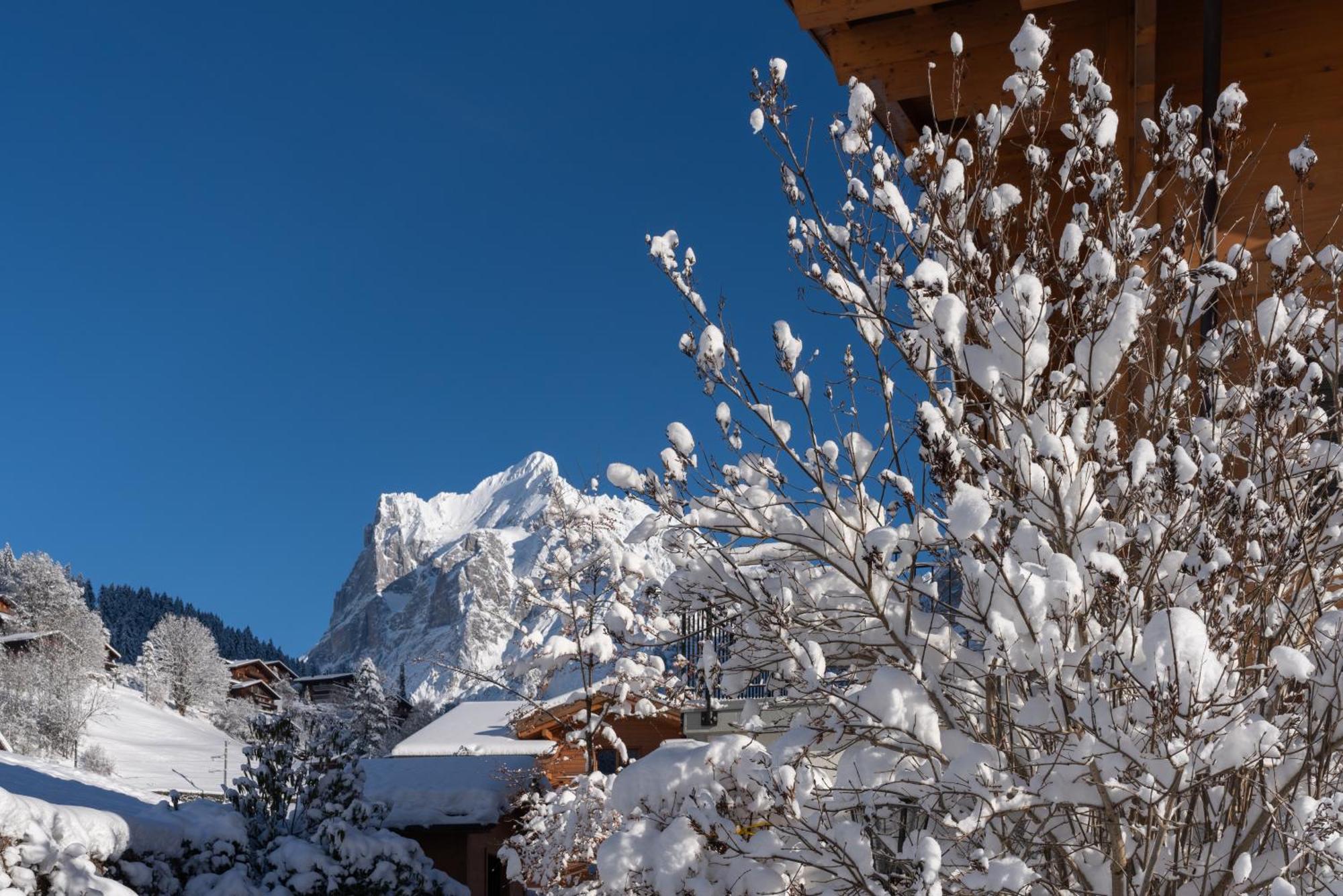 Chalé Chalet Alia And Apartments-grindelwald By Swiss Grindelwald