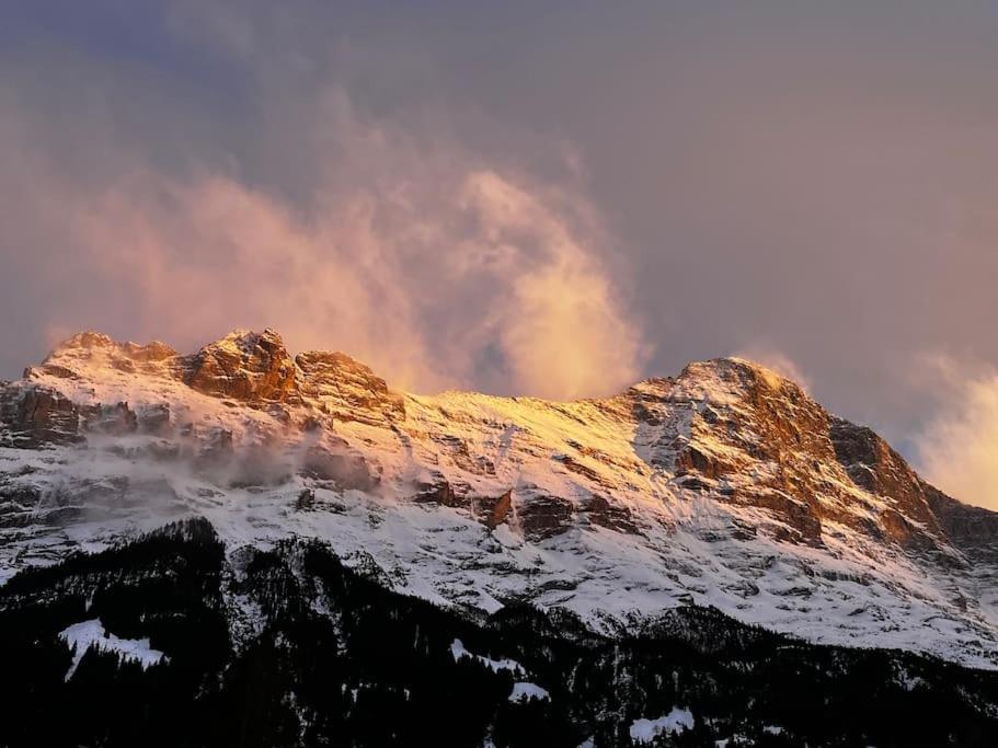 Eiger Nest Apartment Grindelwald