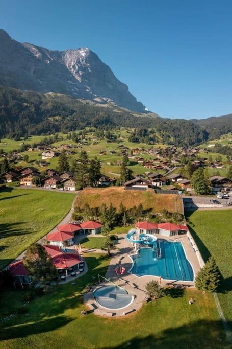 Eiger Nest
