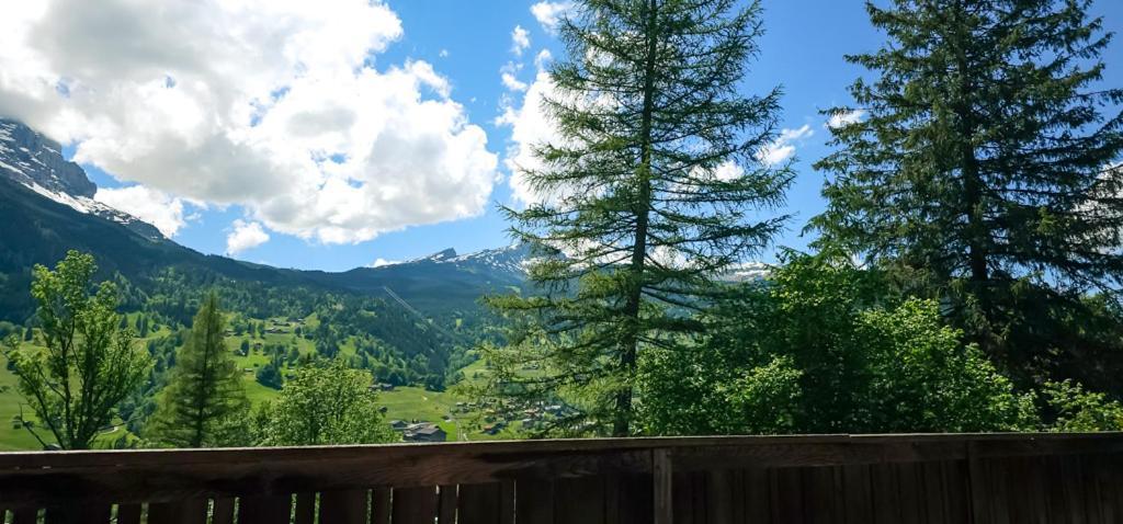 Apartment Marco - Aare Jungfrau Ag Grindelwald