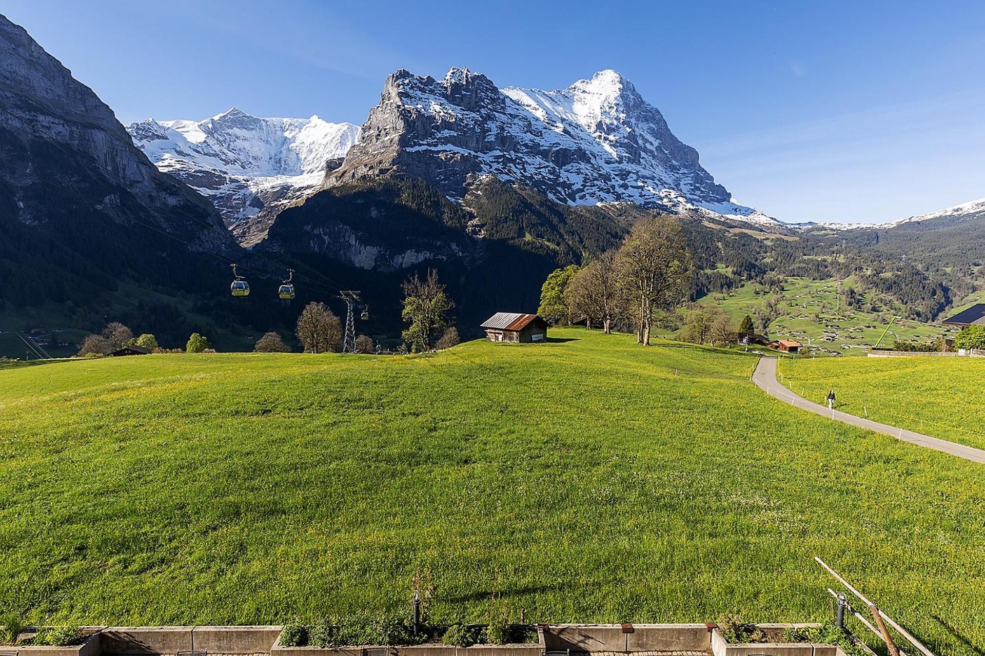 Bodmi Grindelwald
