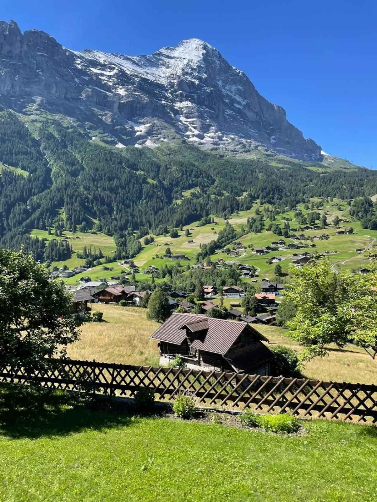 Cosy Swiss *