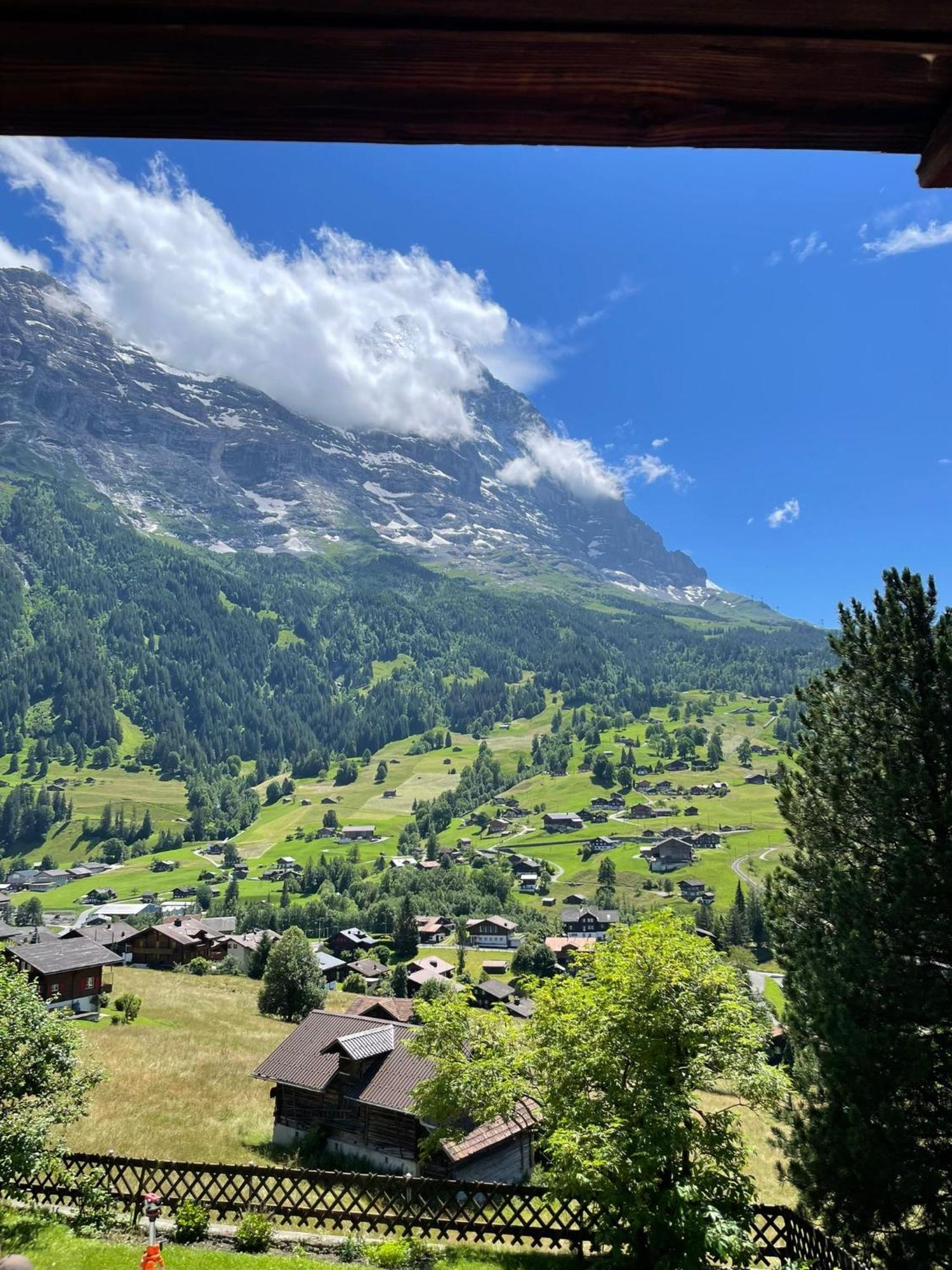 Cosy Swiss Apartment Grindelwald