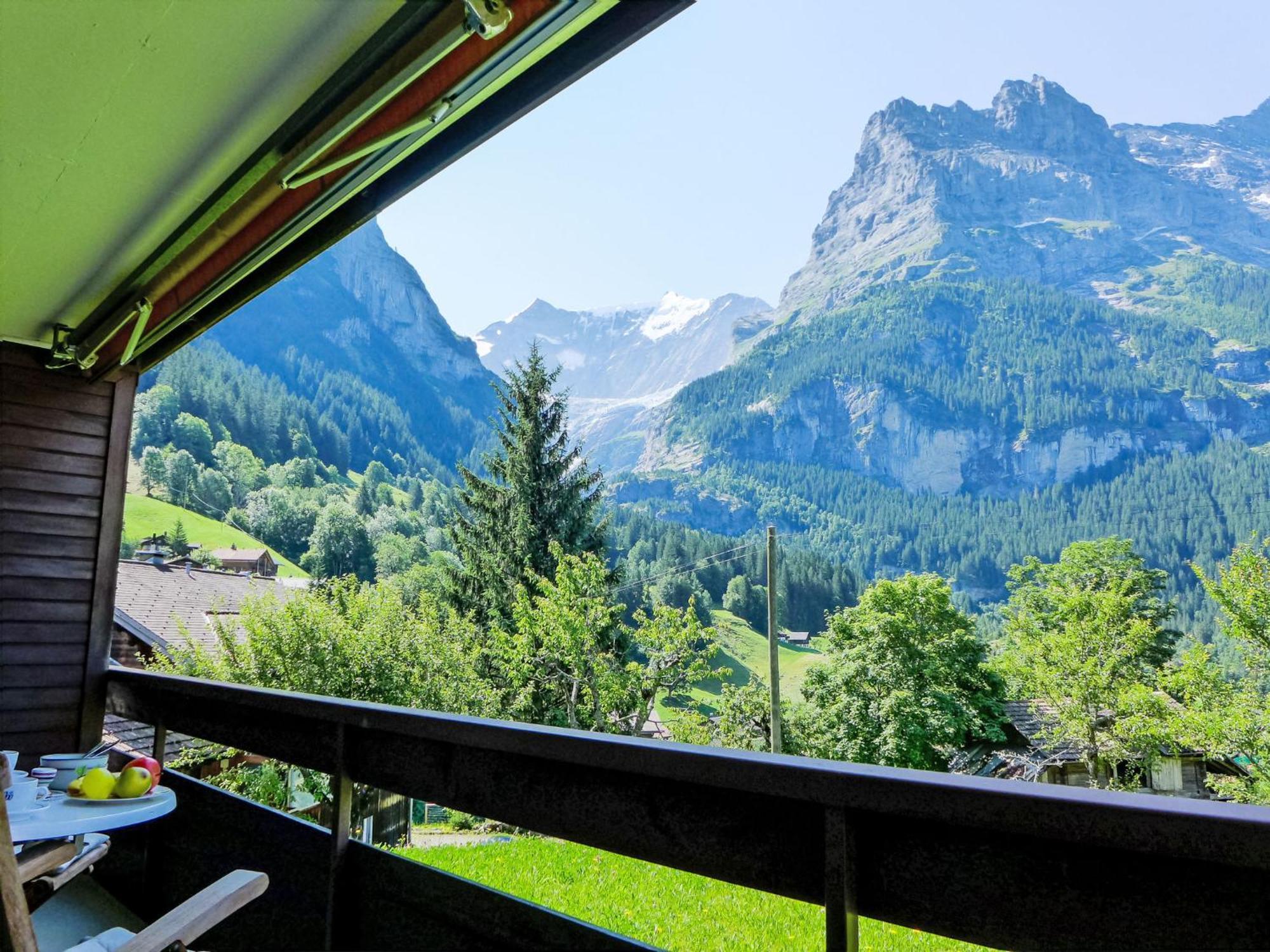 Apartment Mettli-2 By Interhome Grindelwald