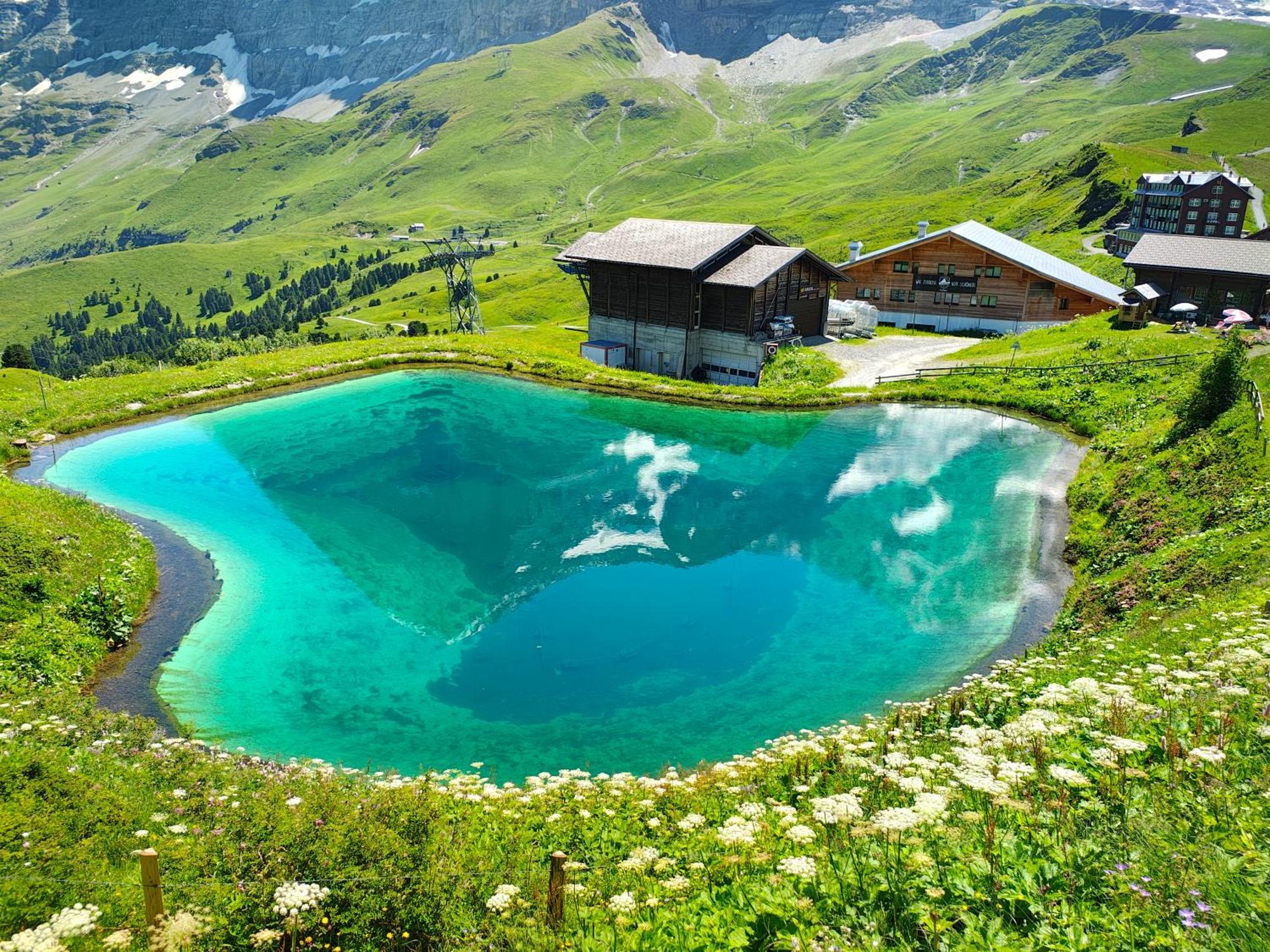 Schwendiboden * Grindelwald