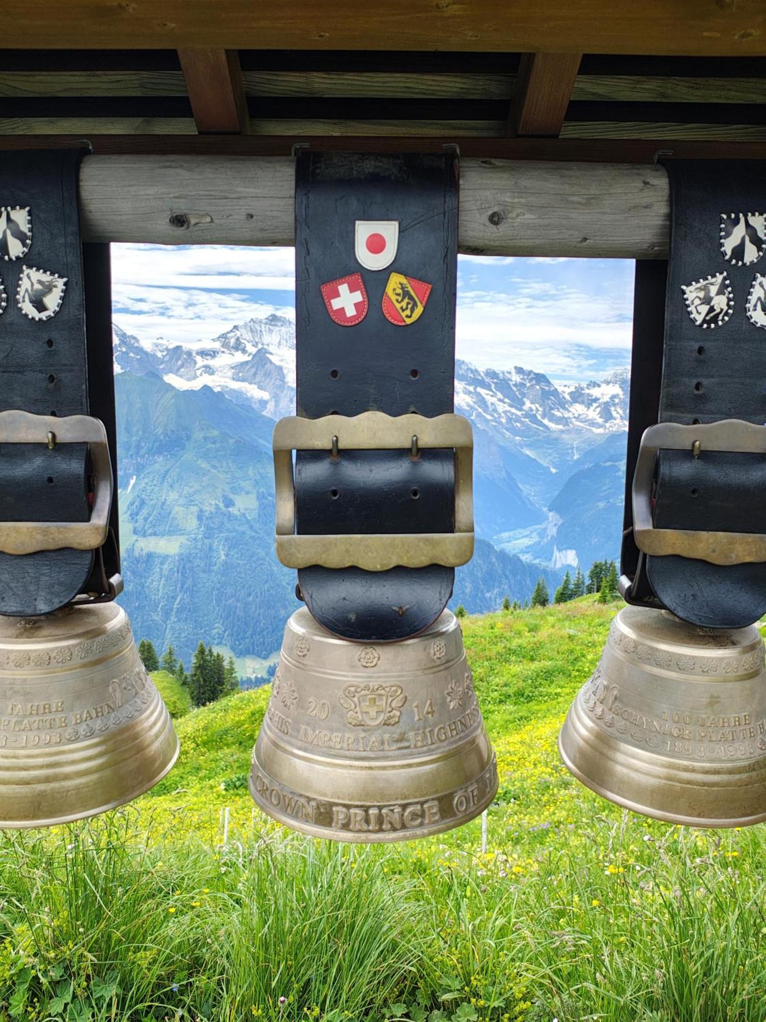 Schwendiboden