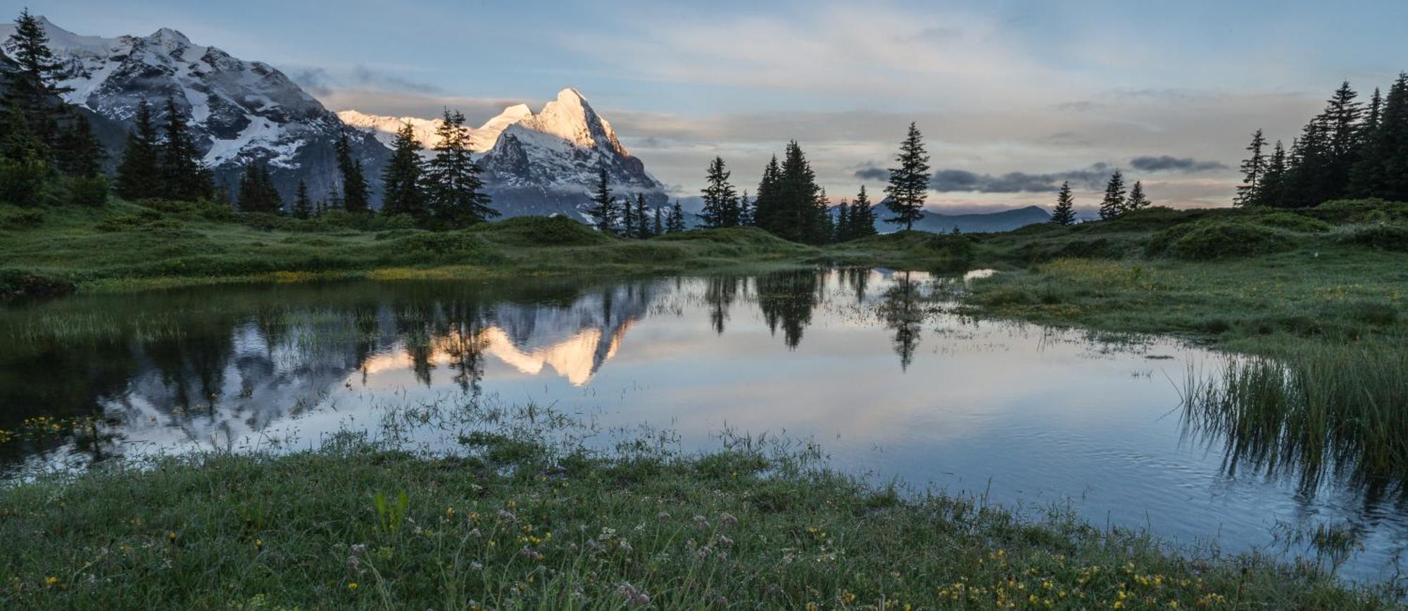 Hotel Kreuz&post**** Grindelwald