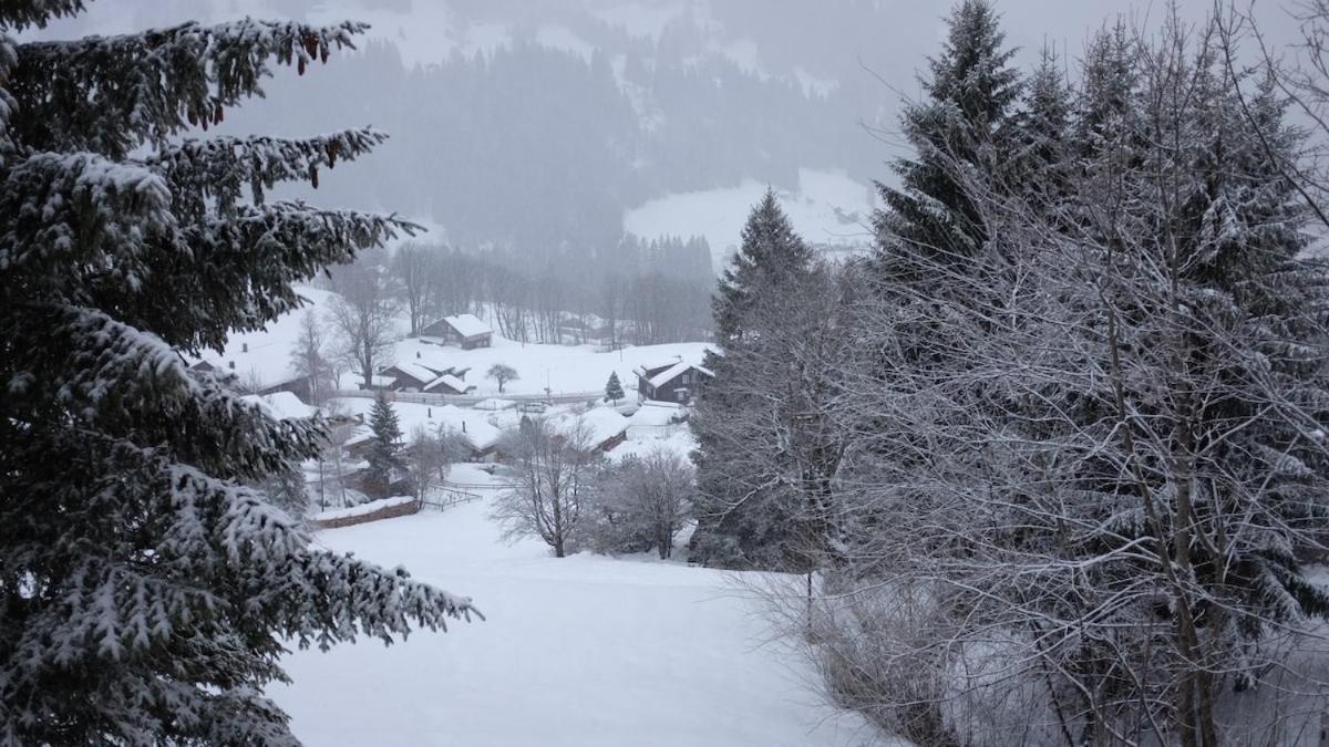 Chalet Ruthchen