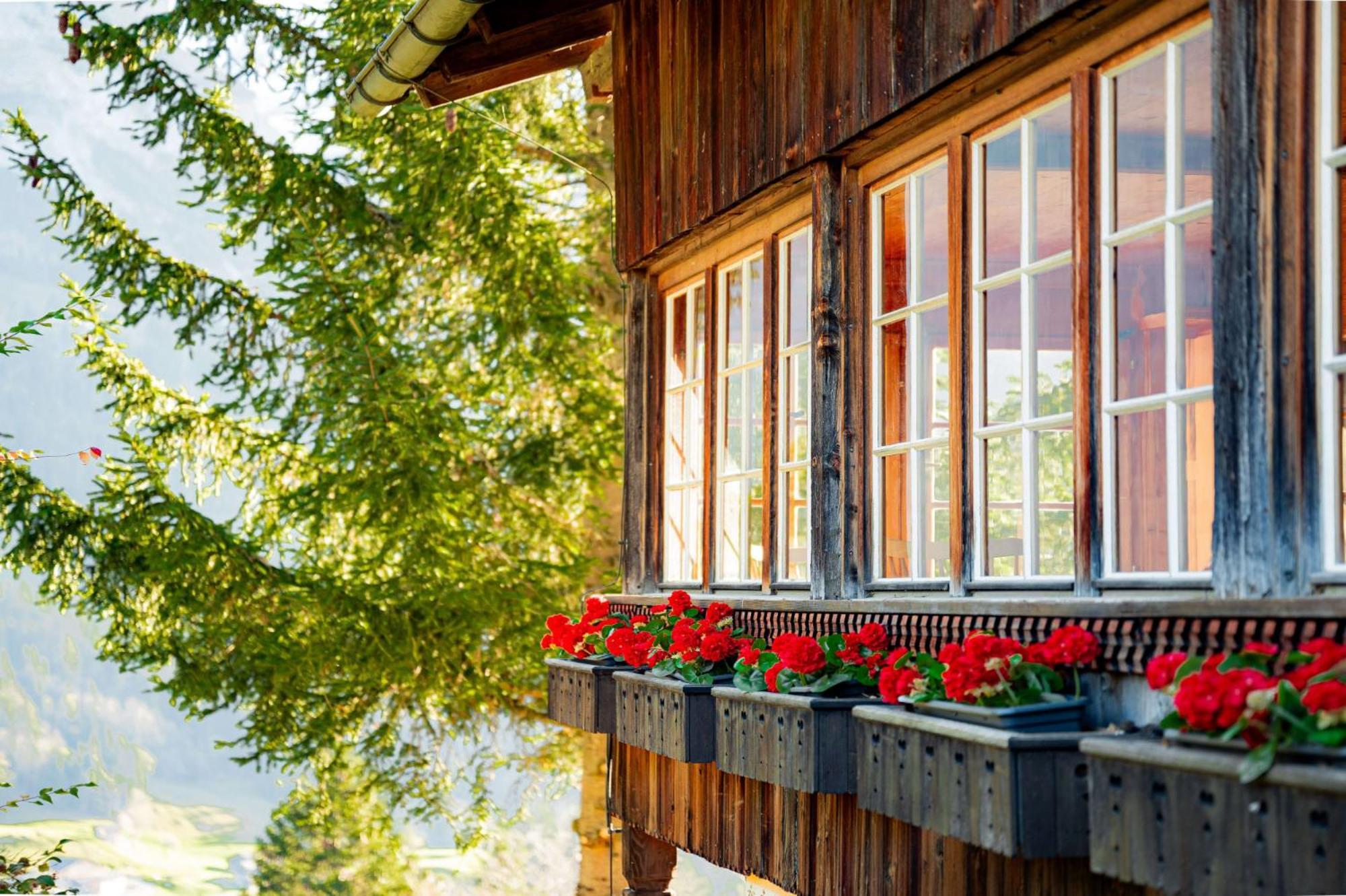 Ruthchen * Grindelwald