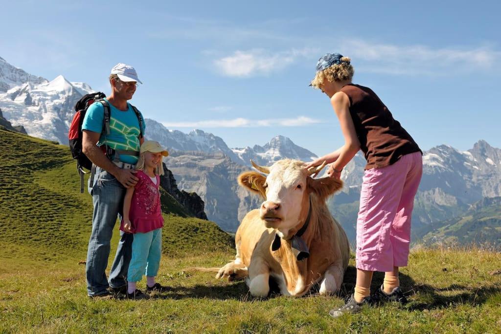 Chalet Chalet Heimat Grindelwald