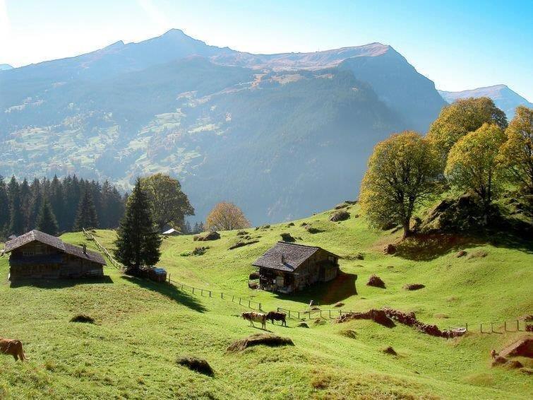 Aphrodite West Magnificent Eiger View Apartment Grindelwald