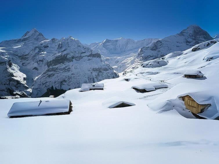 Apartment Aphrodite West Magnificent Eiger View