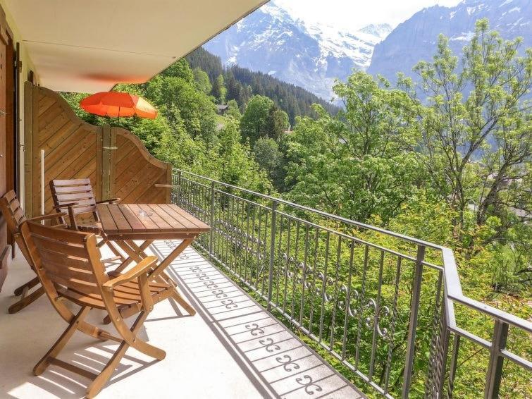 Aphrodite West Magnificent Eiger View Apartment Grindelwald